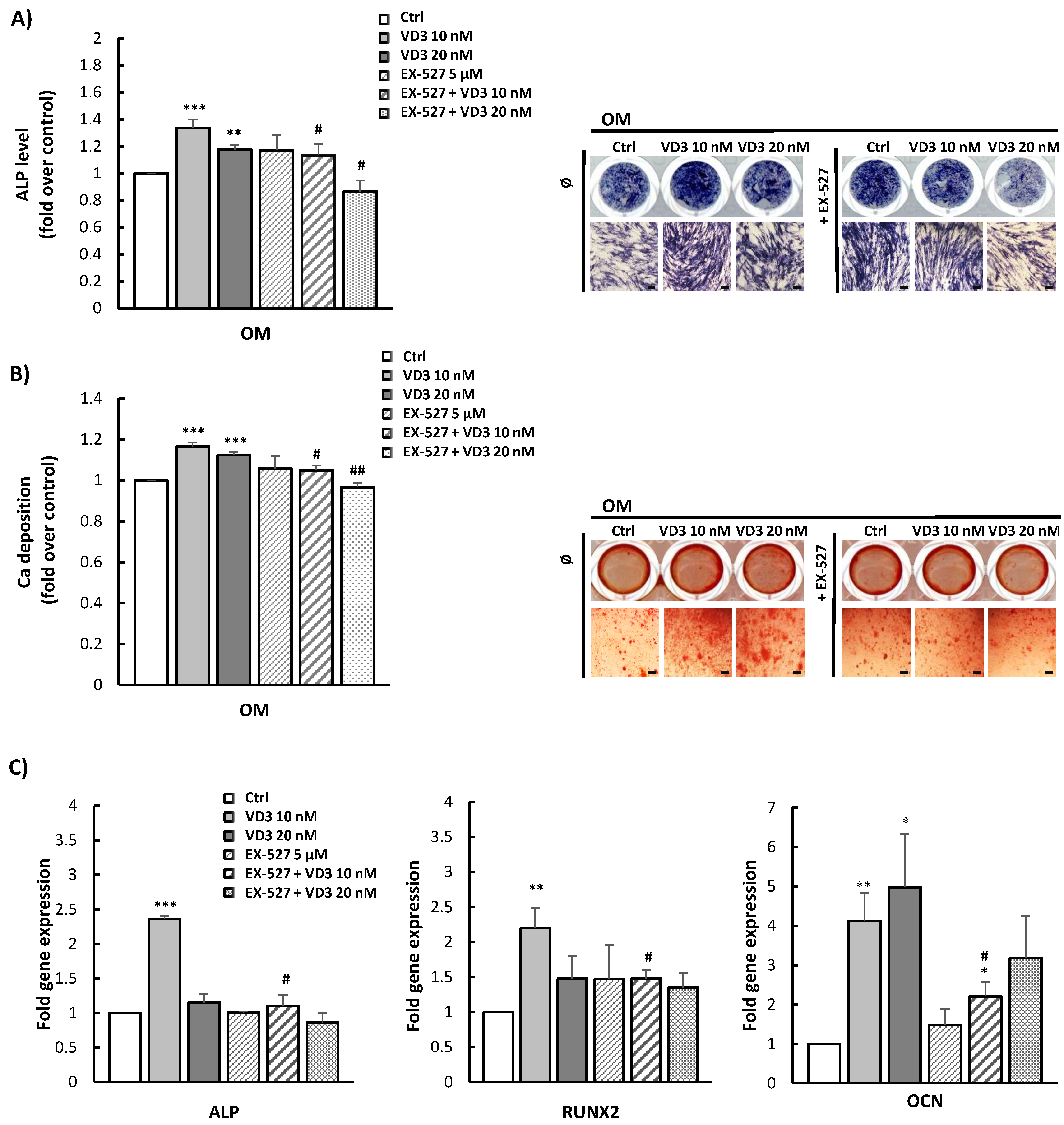 Biomolecules 12 00323 g006