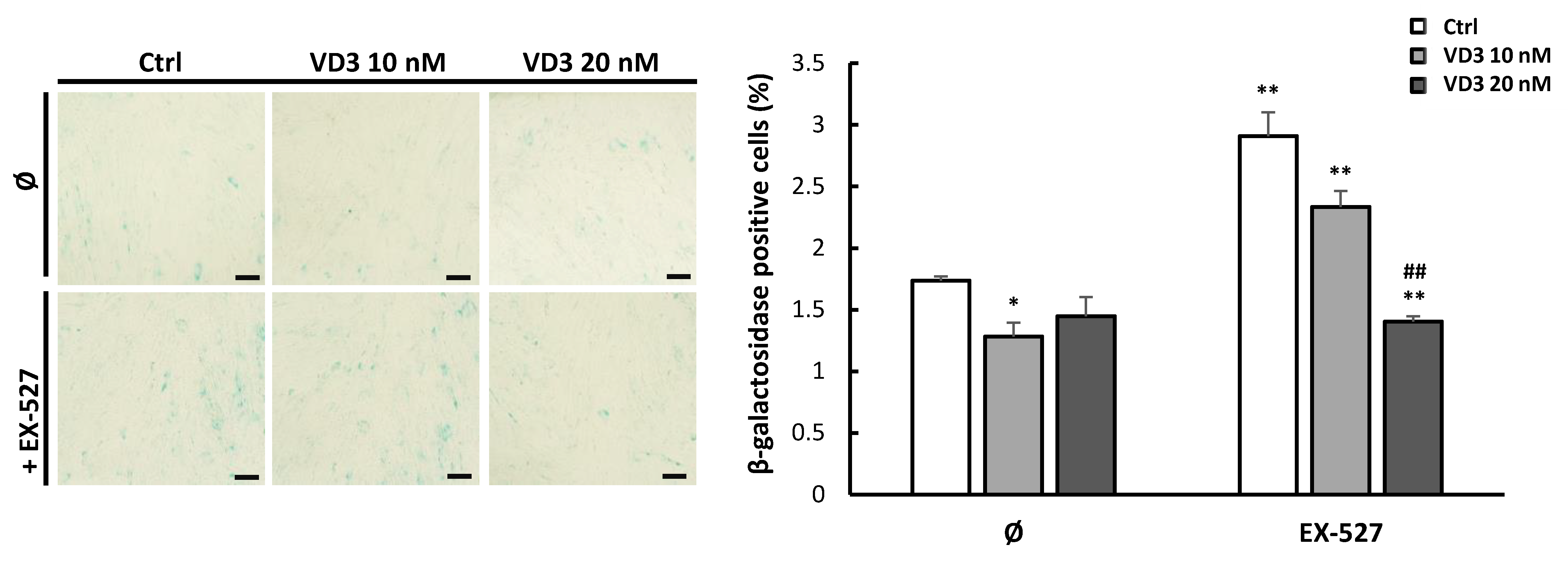 Biomolecules 12 00323 g007