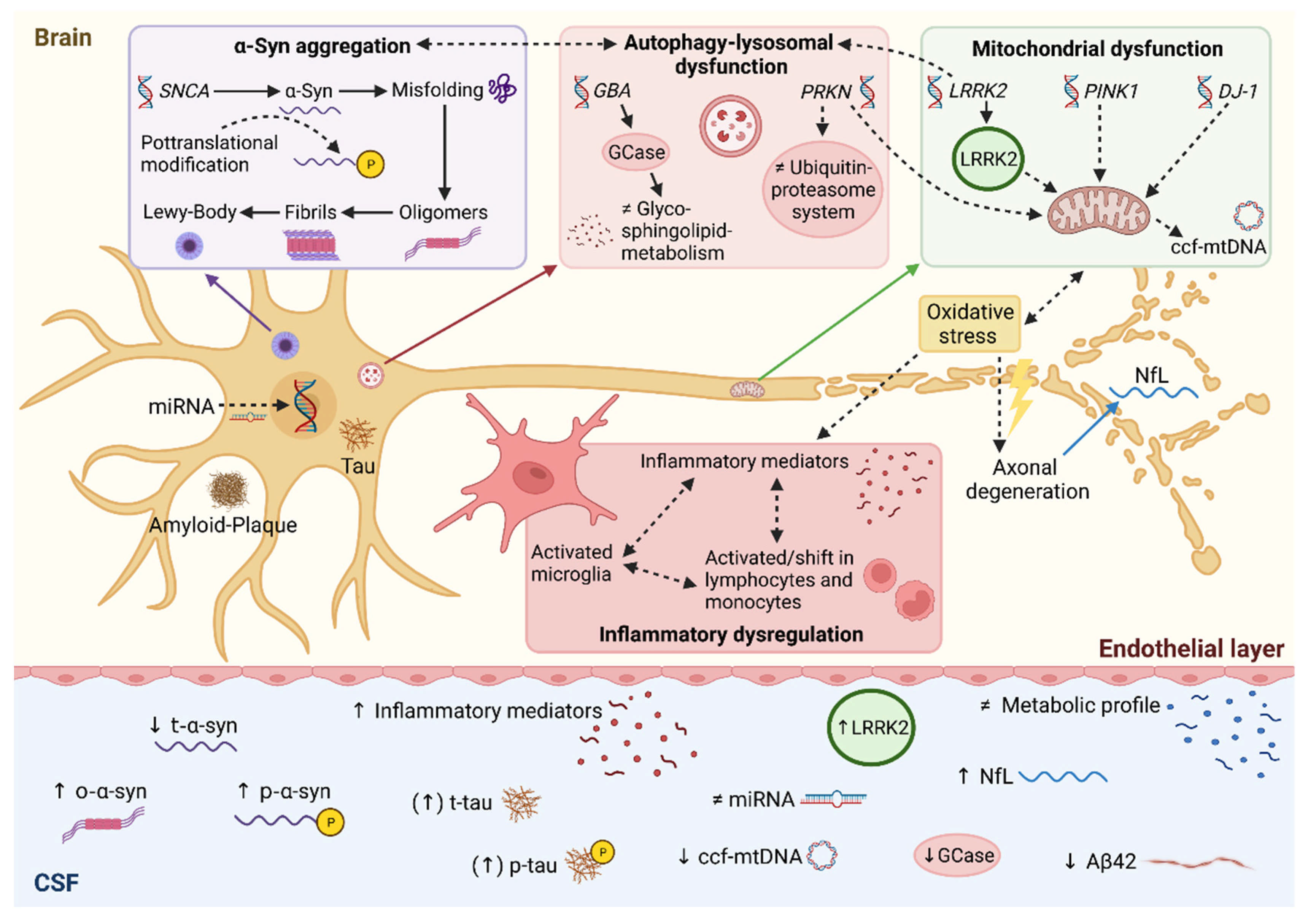 Biomolecules | Free Full-Text | Update on CSF Biomarkers in  Parkinson’s Disease | HTML