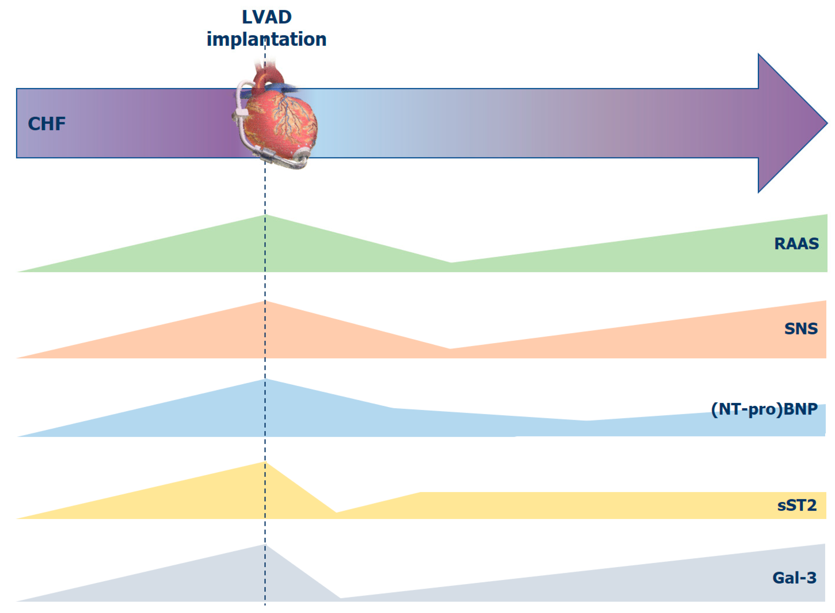 Biomolecules 12 00334 g003 Biomolecules 12 00334 g003