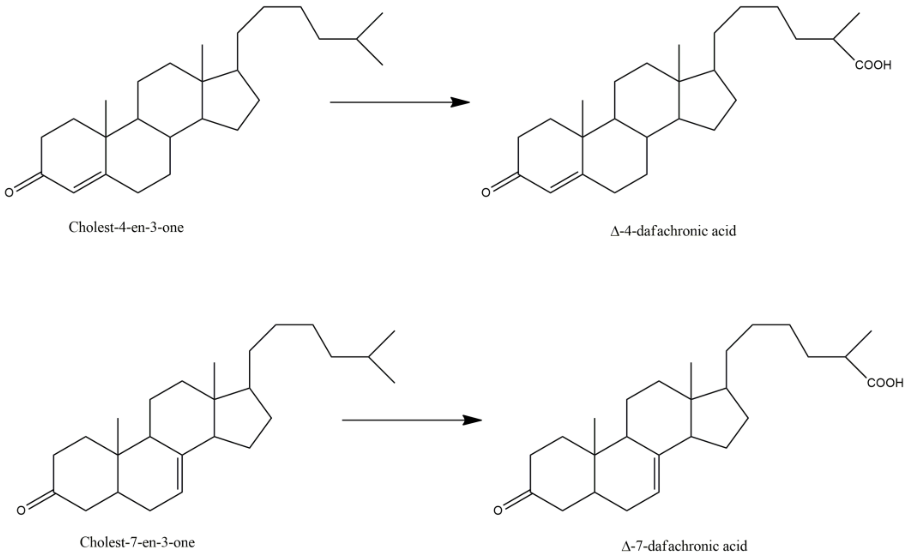 Biomolecules 12 00342 g002