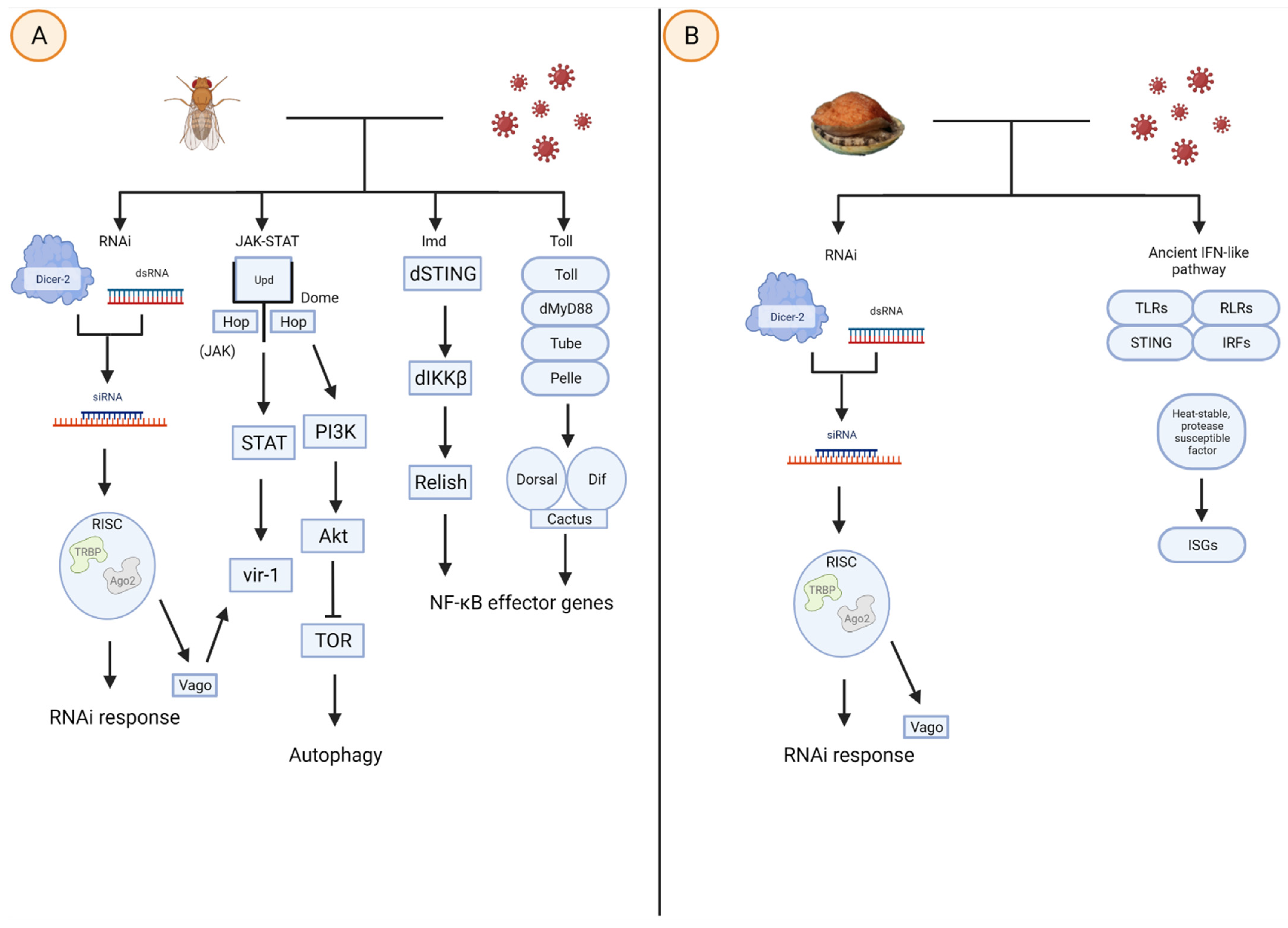 Biomolecules 12 00345 g001 Biomolecules 12 00345 g001
