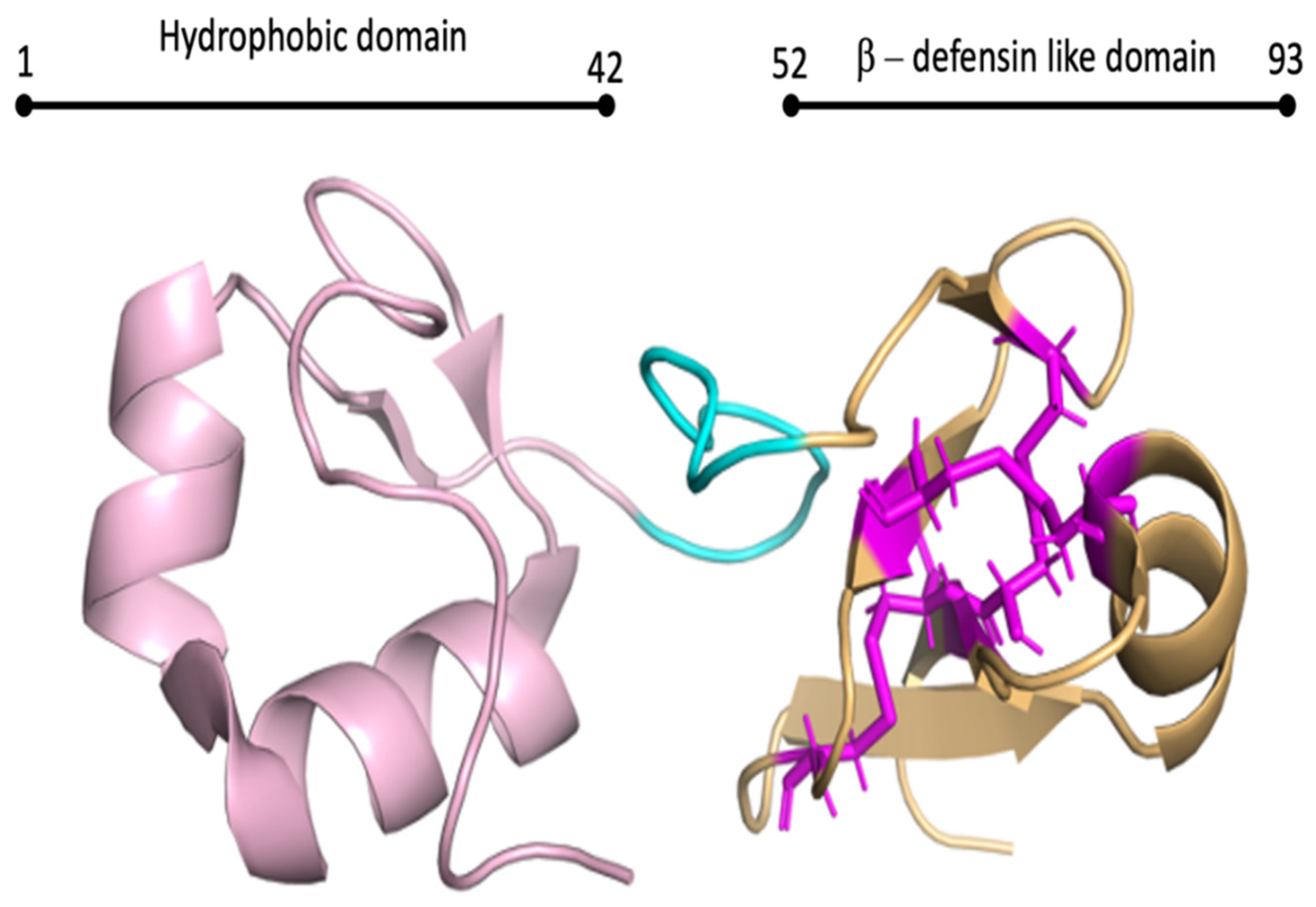Biomolecules 12 00345 g002 Biomolecules 12 00345 g002