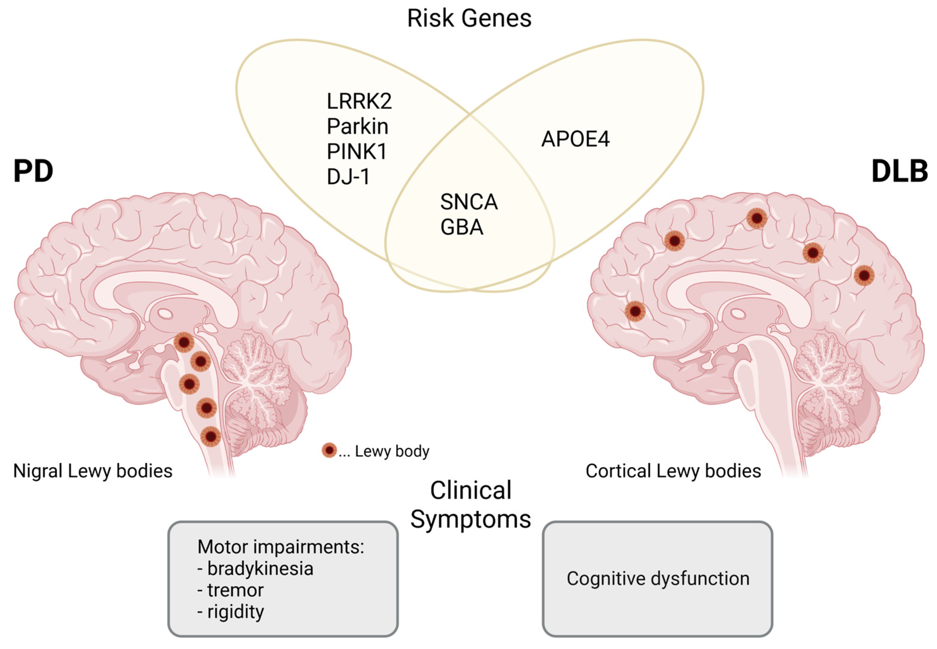 Biomolecules 12 00346 g001 Biomolecules 12 00346 g001