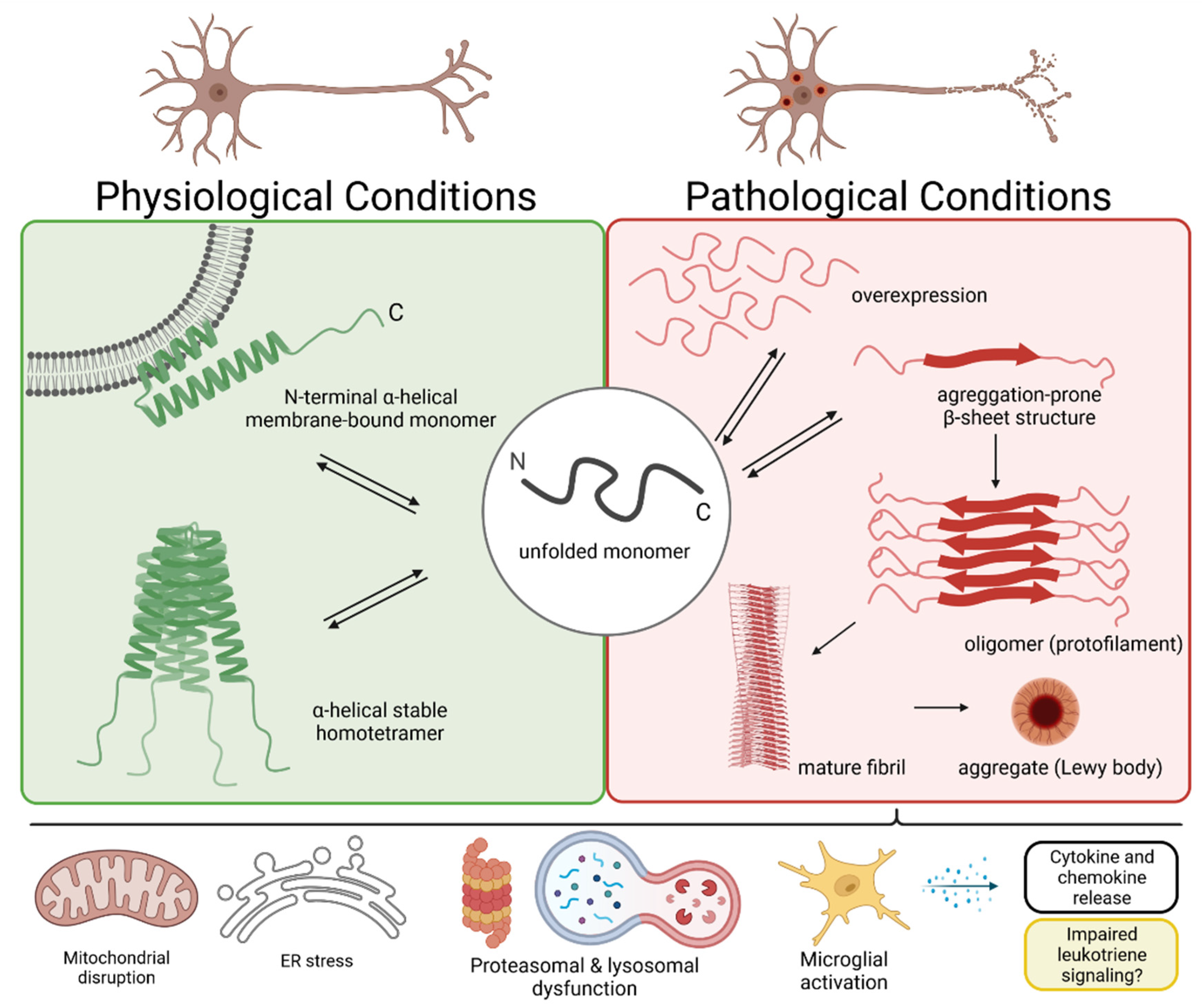 Biomolecules 12 00346 g002 Biomolecules 12 00346 g002