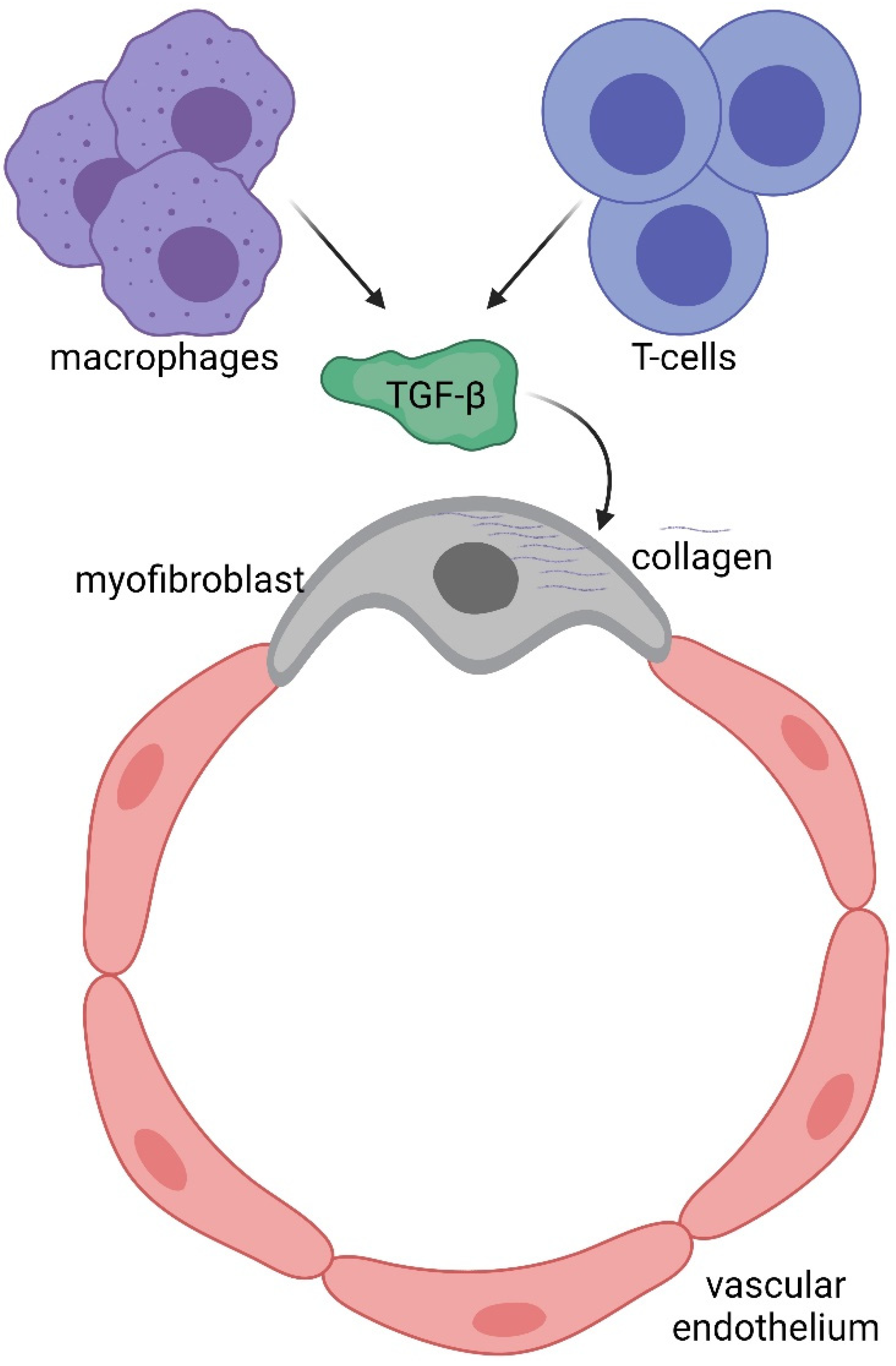 Biomolecules 12 00350 g005