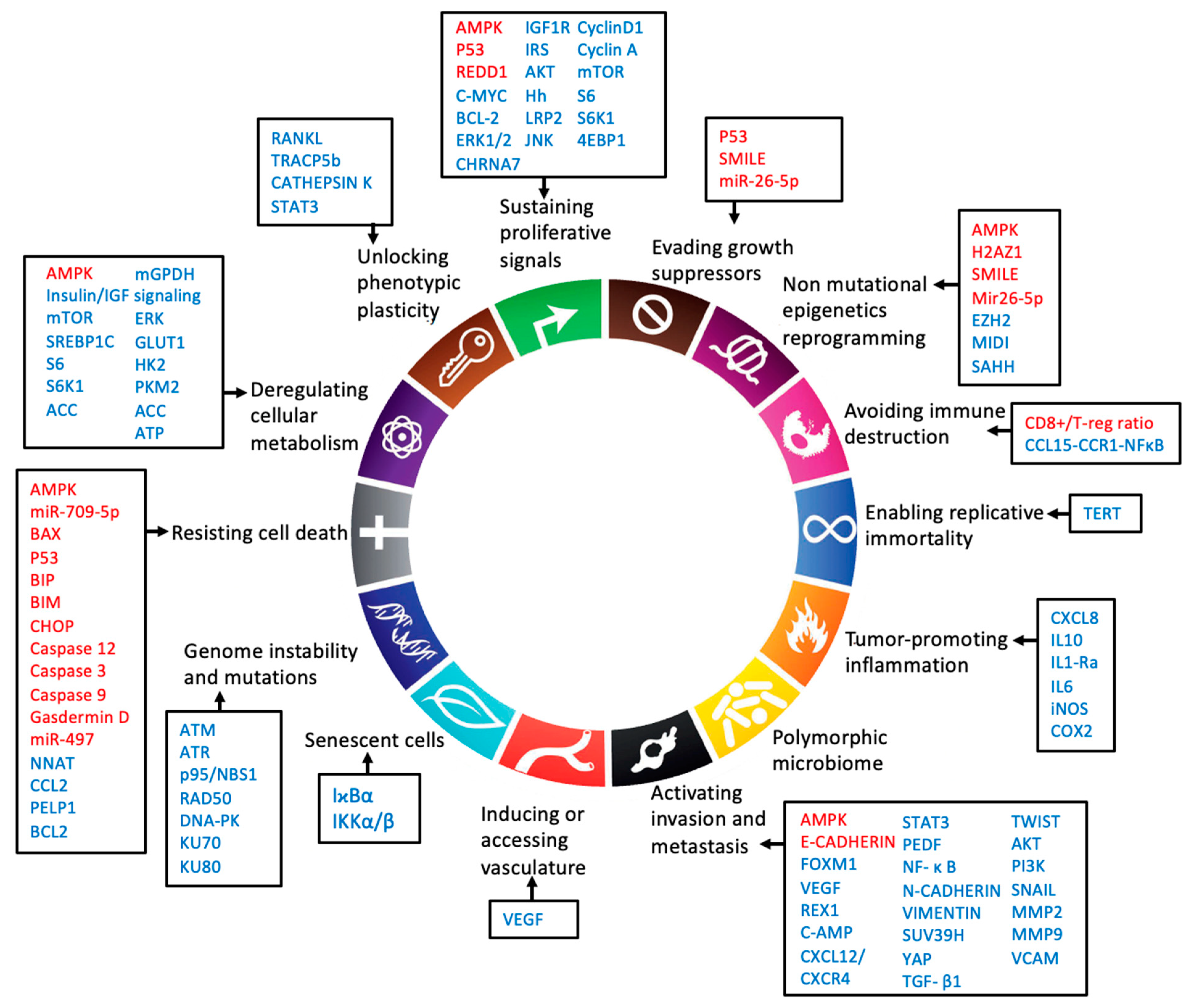 Biomolecules 12 00357 g002 Biomolecules 12 00357 g002