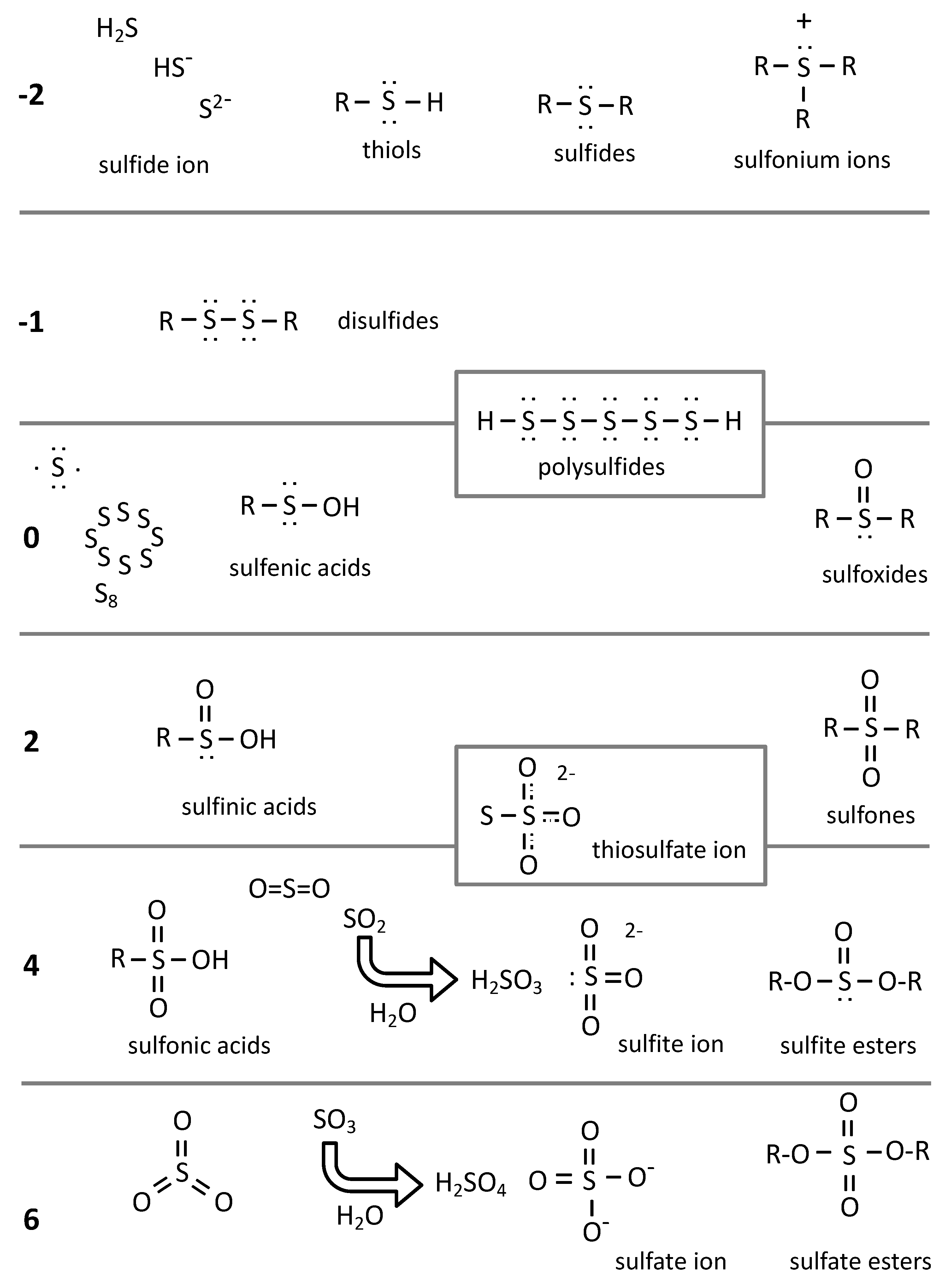 Biomolecules 12 00361 g002 Biomolecules 12 00361 g002