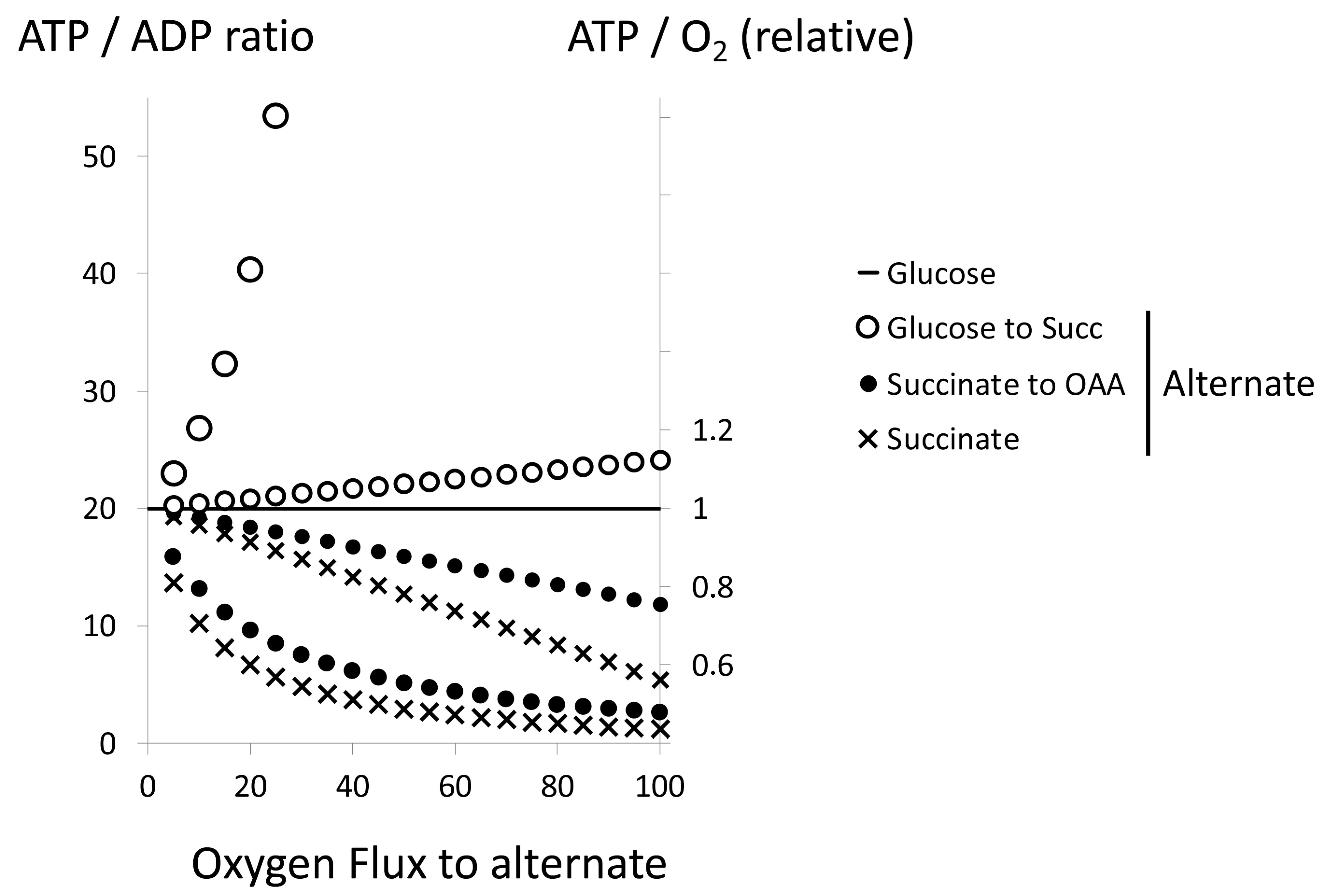 Biomolecules 12 00361 g011 Biomolecules 12 00361 g011