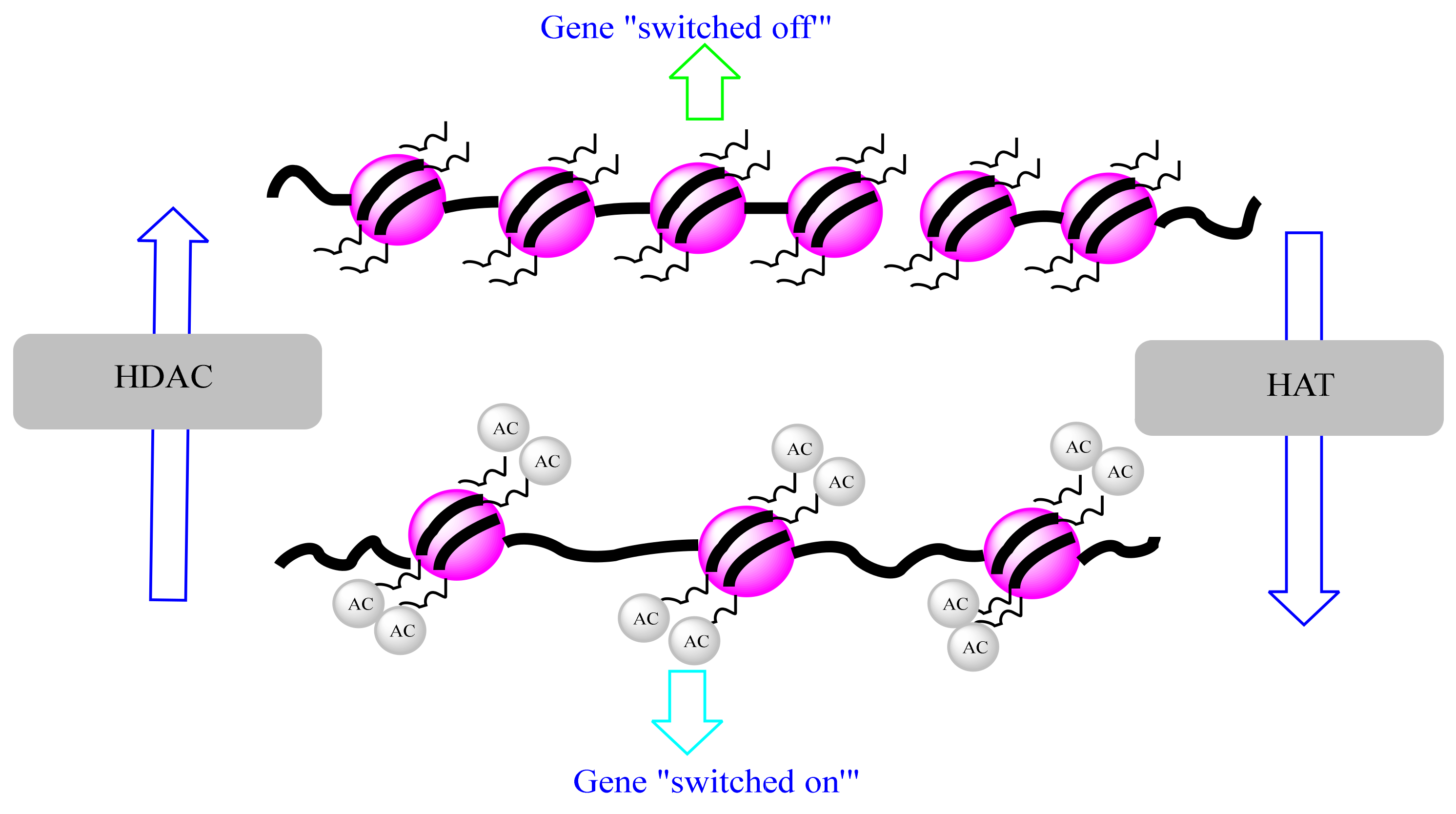 Biomolecules 12 00367 g004 Biomolecules 12 00367 g004