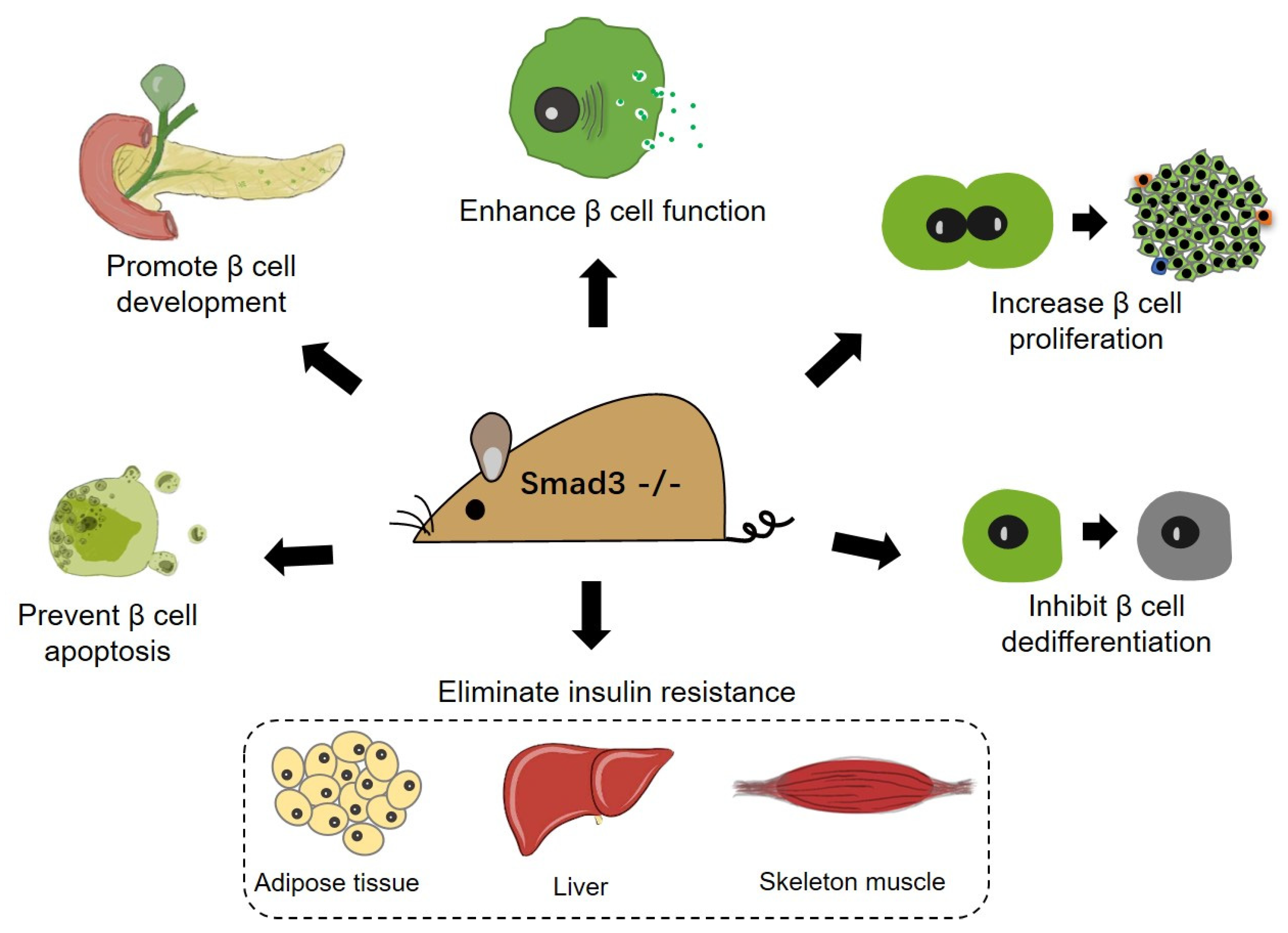 Biomolecules 12 00373 g002