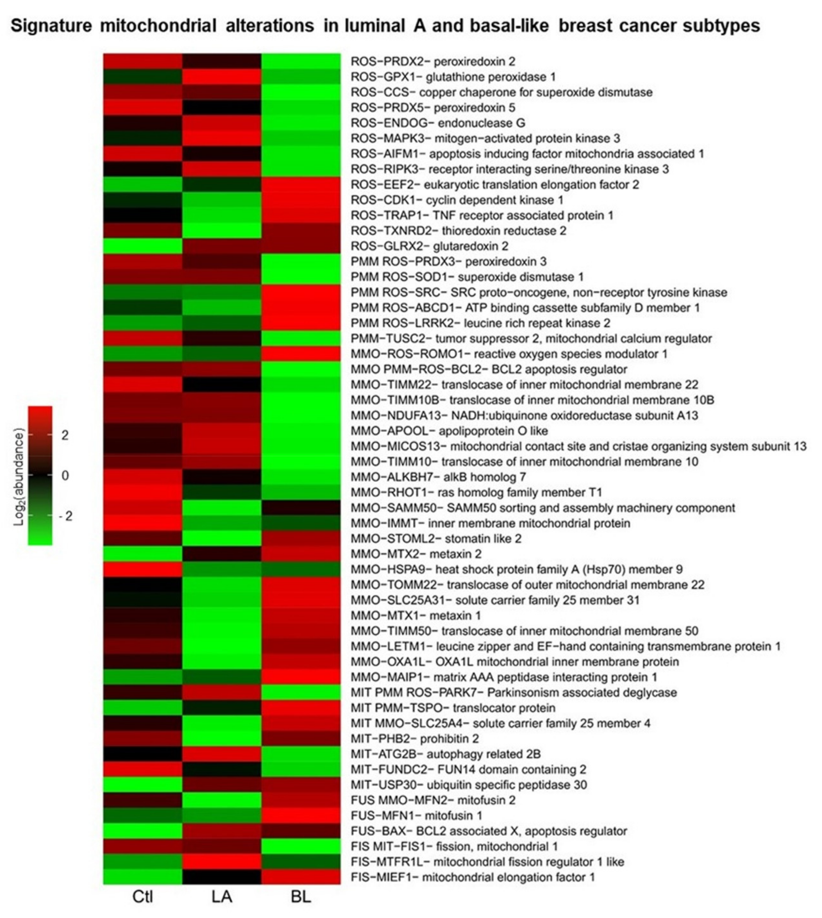 Biomolecules 12 00379 g009