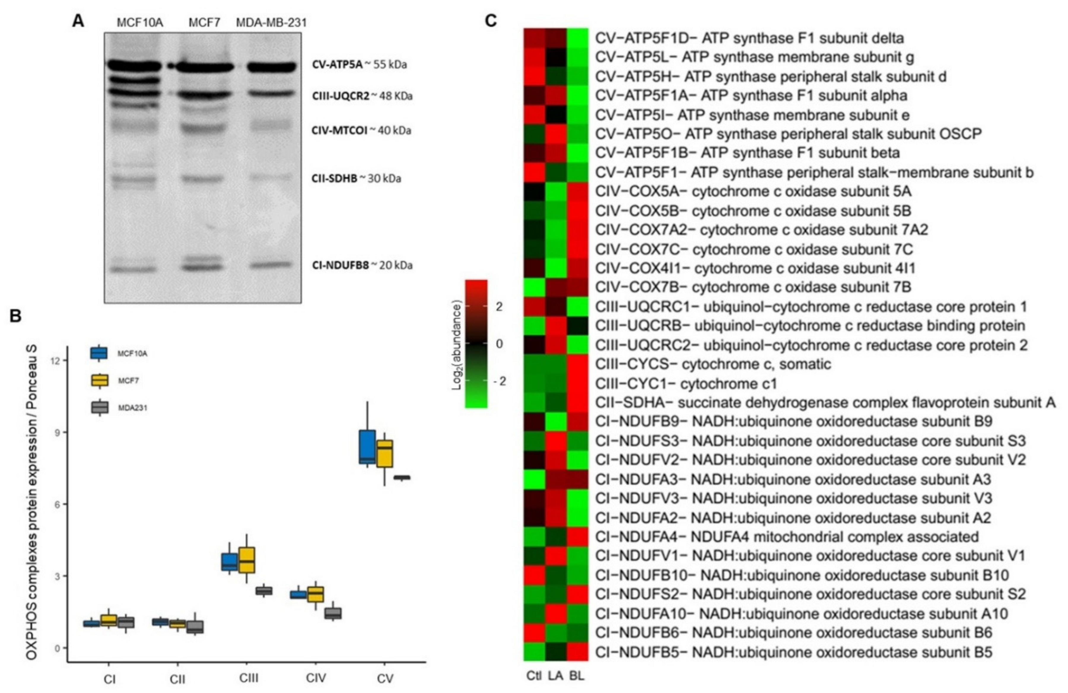 Biomolecules 12 00379 g010