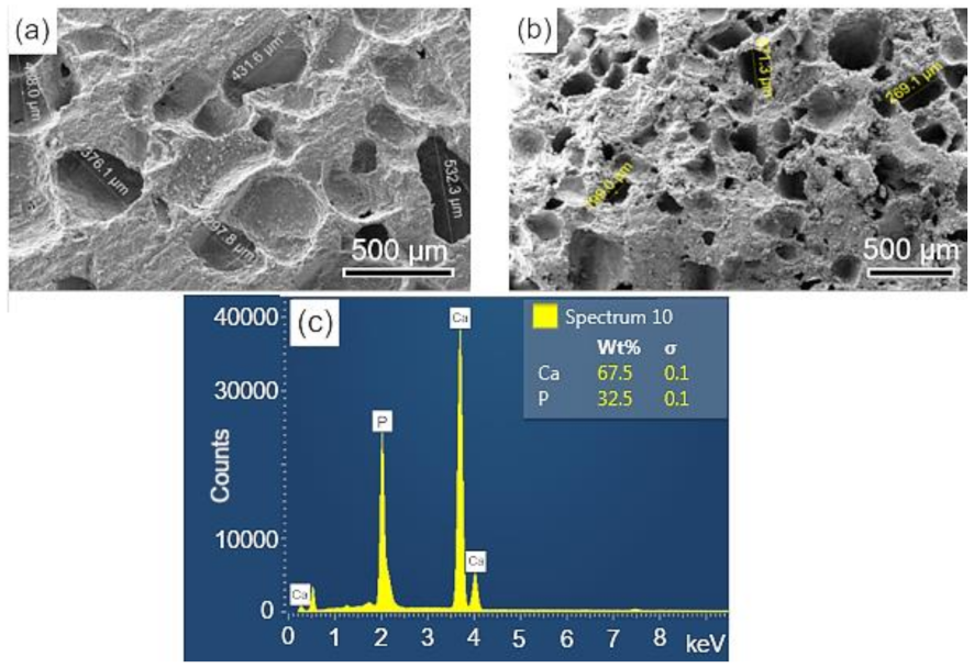 Biomolecules 12 00383 g004