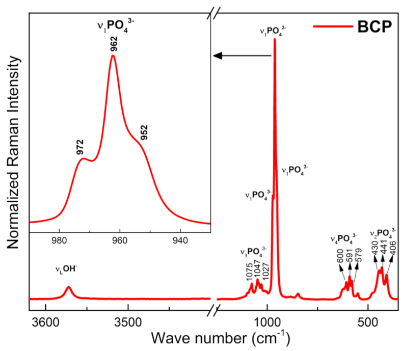 Biomolecules 12 00383 g006