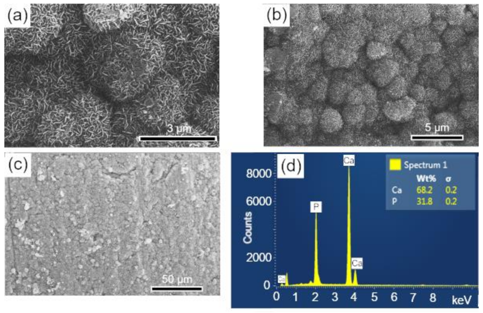 Biomolecules 12 00383 g008