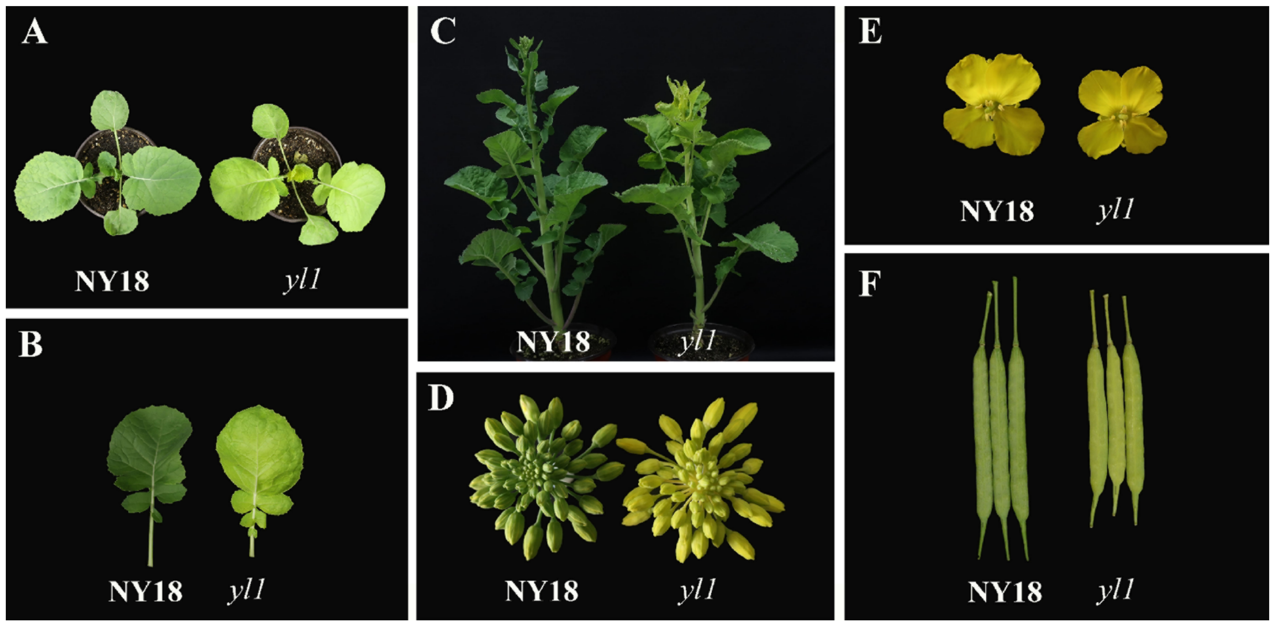 Biomolecules 12 00402 g001 Biomolecules 12 00402 g001