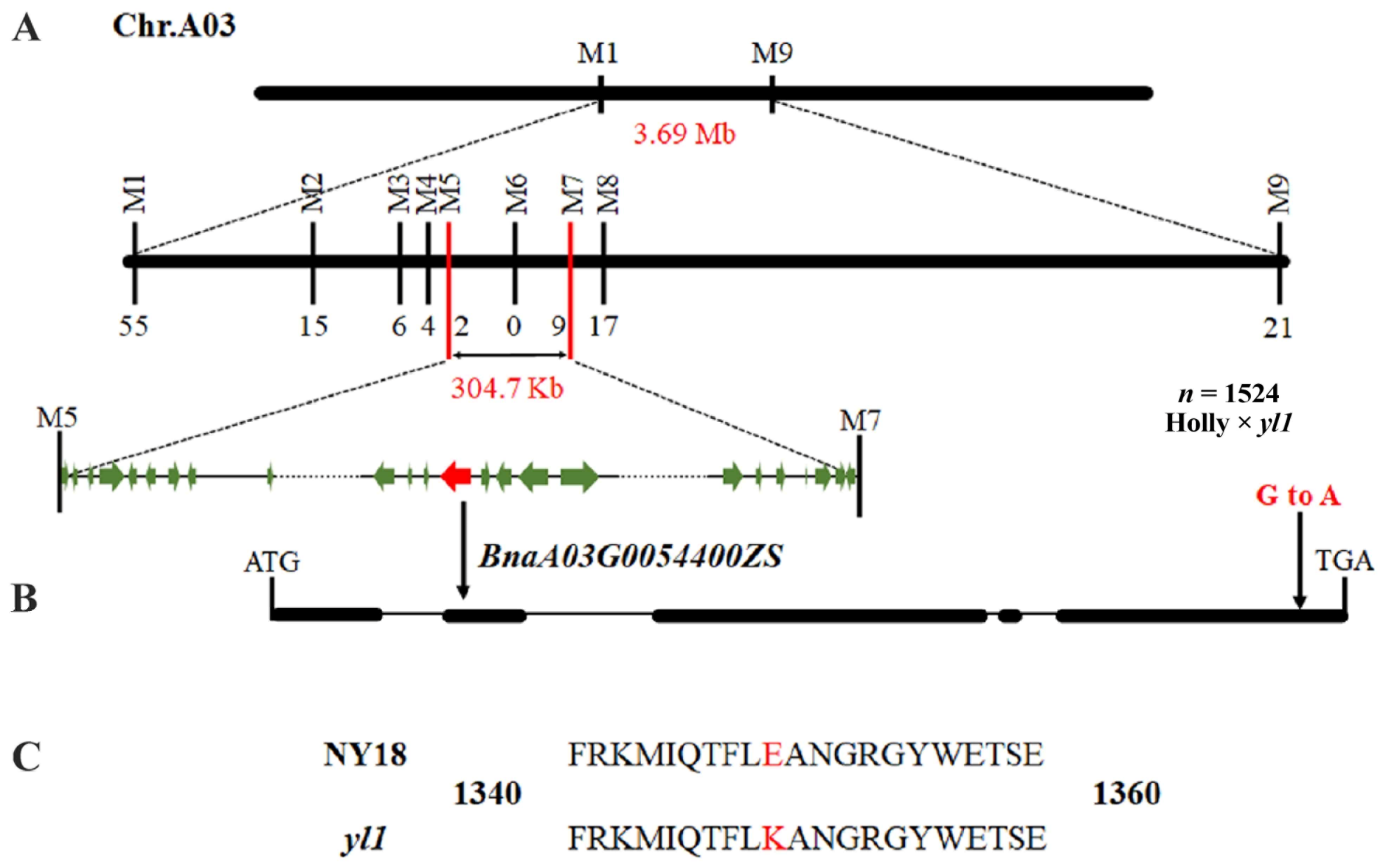 Biomolecules 12 00402 g003 Biomolecules 12 00402 g003
