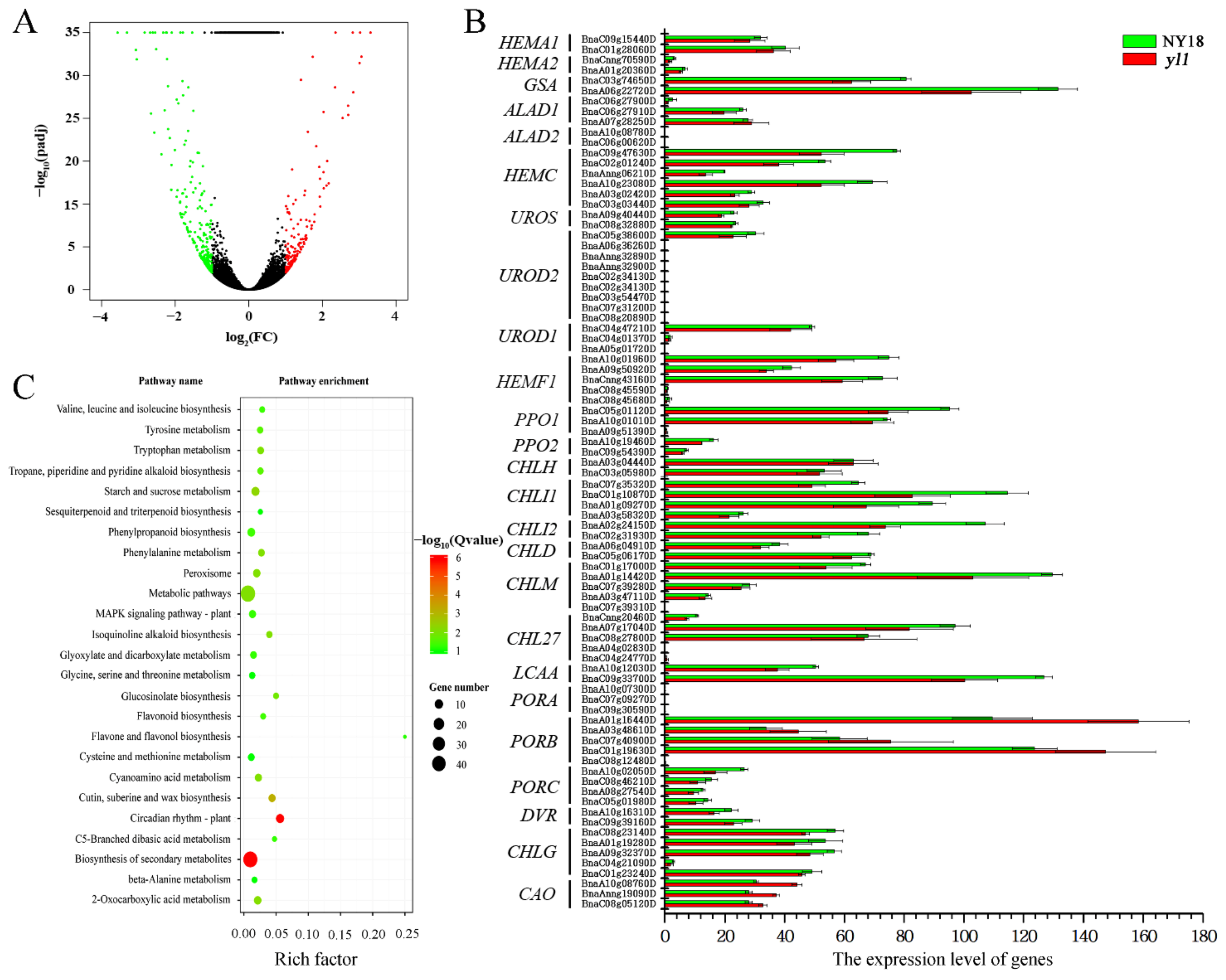 Biomolecules 12 00402 g004 Biomolecules 12 00402 g004