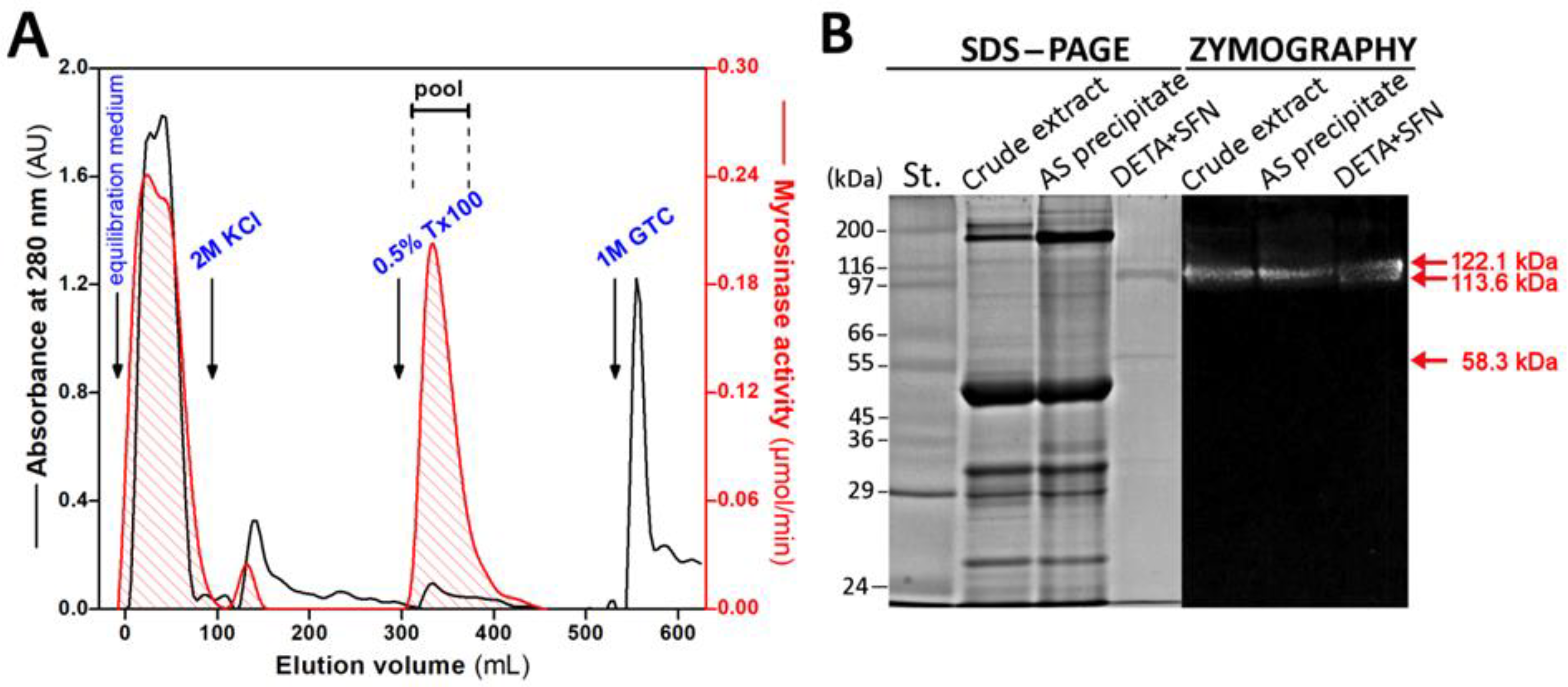 Biomolecules 12 00406 g003