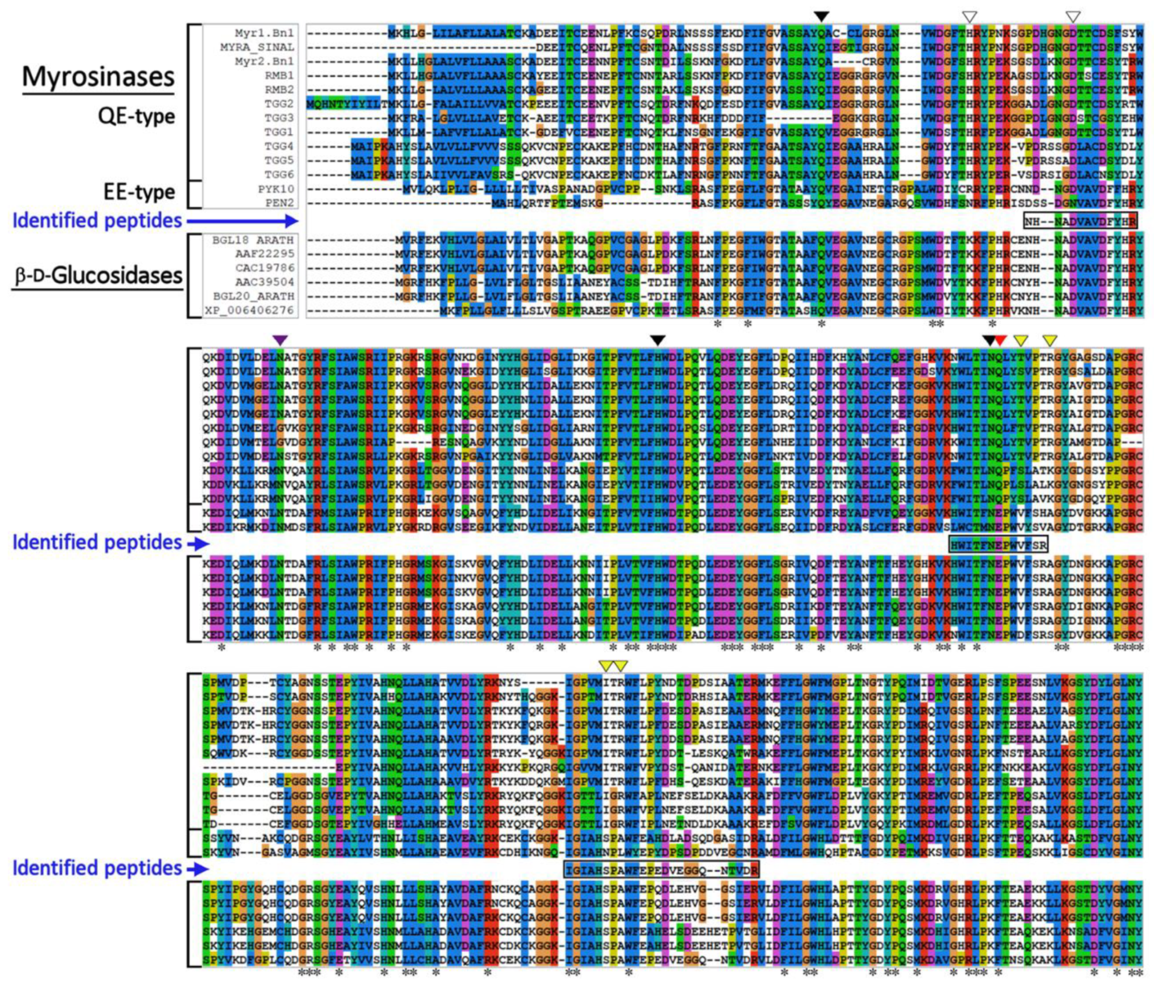 Biomolecules 12 00406 g004