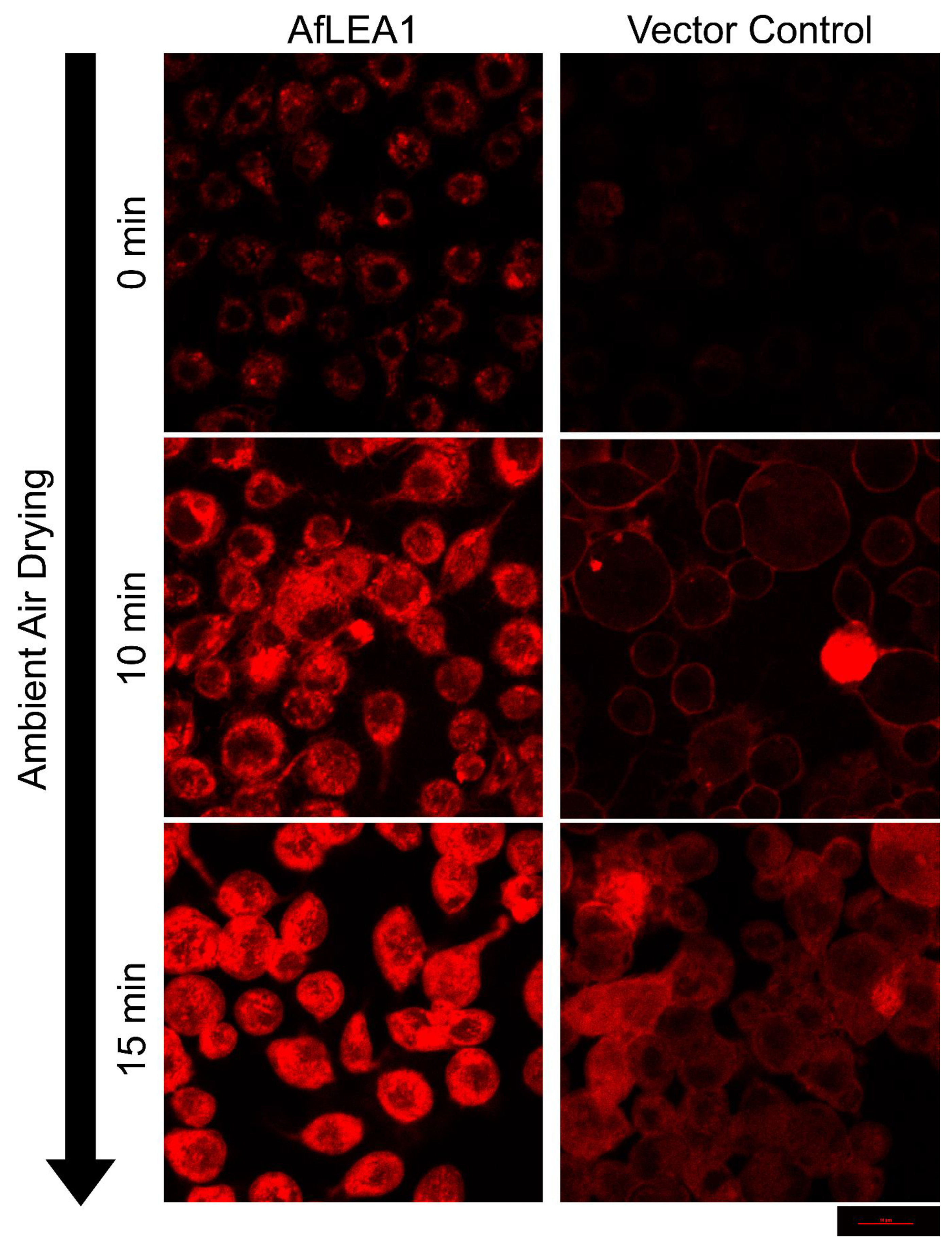 Biomolecules 12 00425 g013