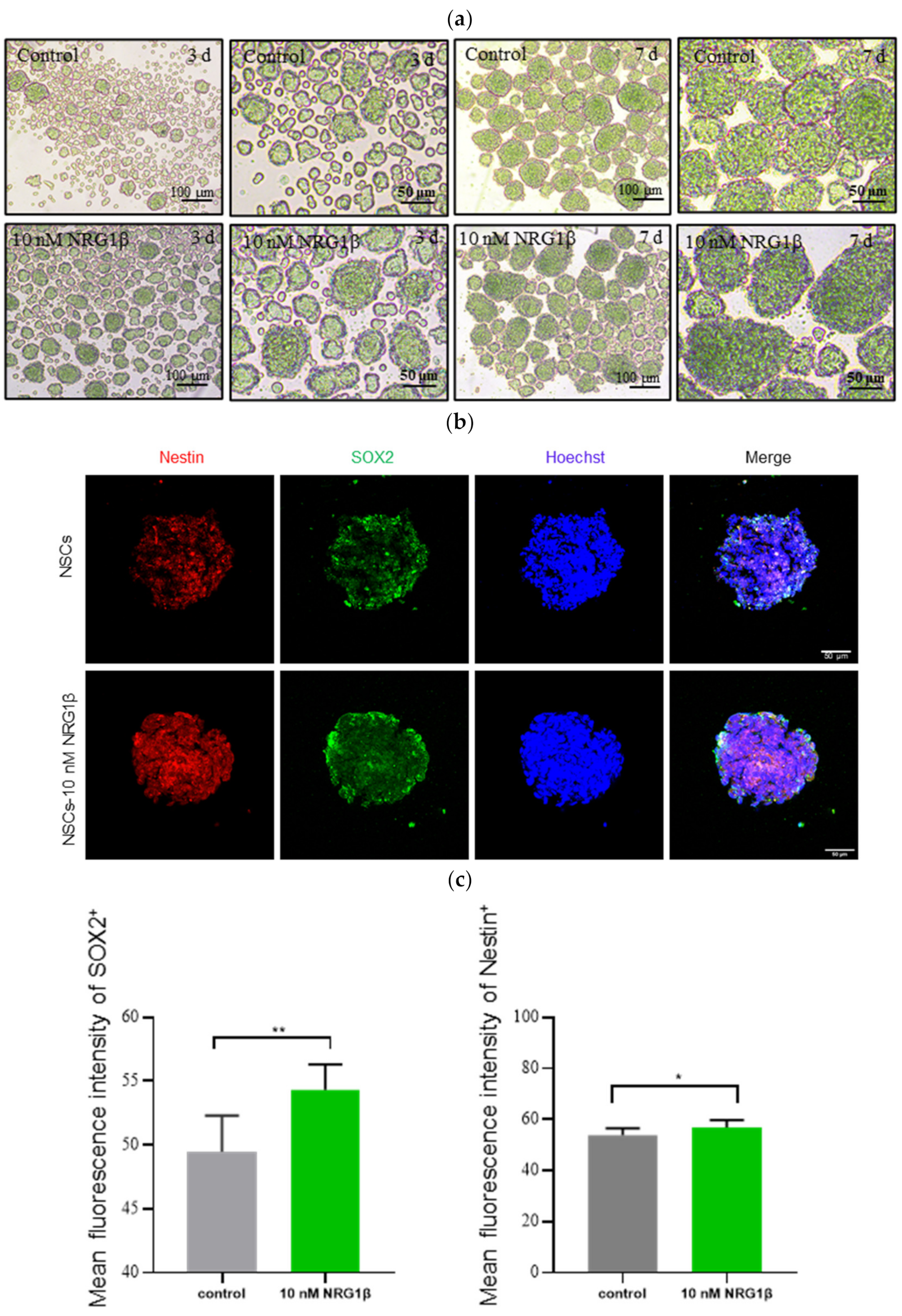 Biomolecules 12 00428 g001a