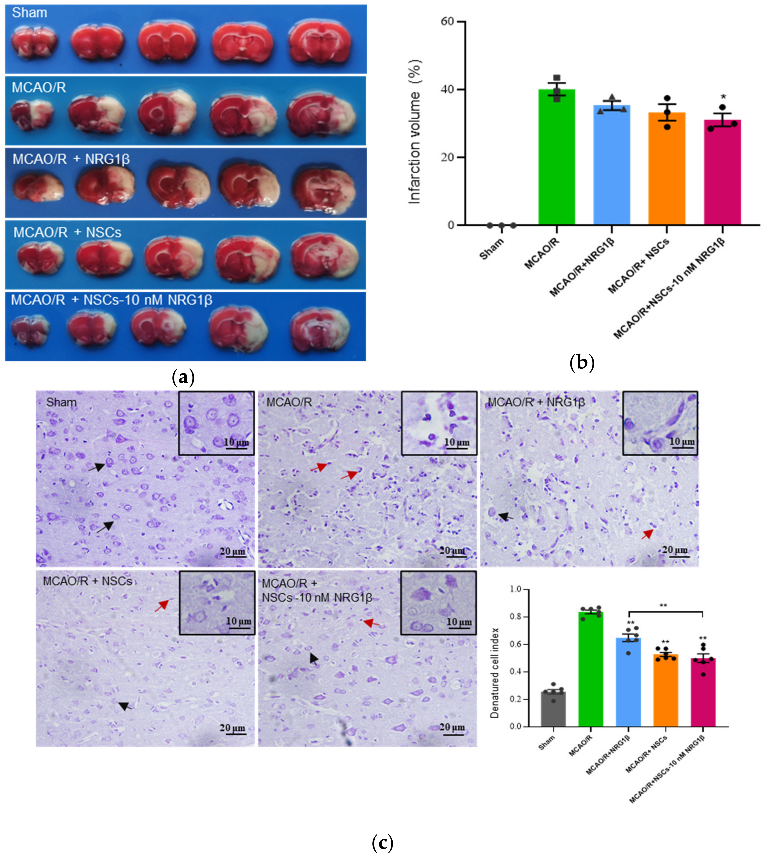 Biomolecules 12 00428 g002