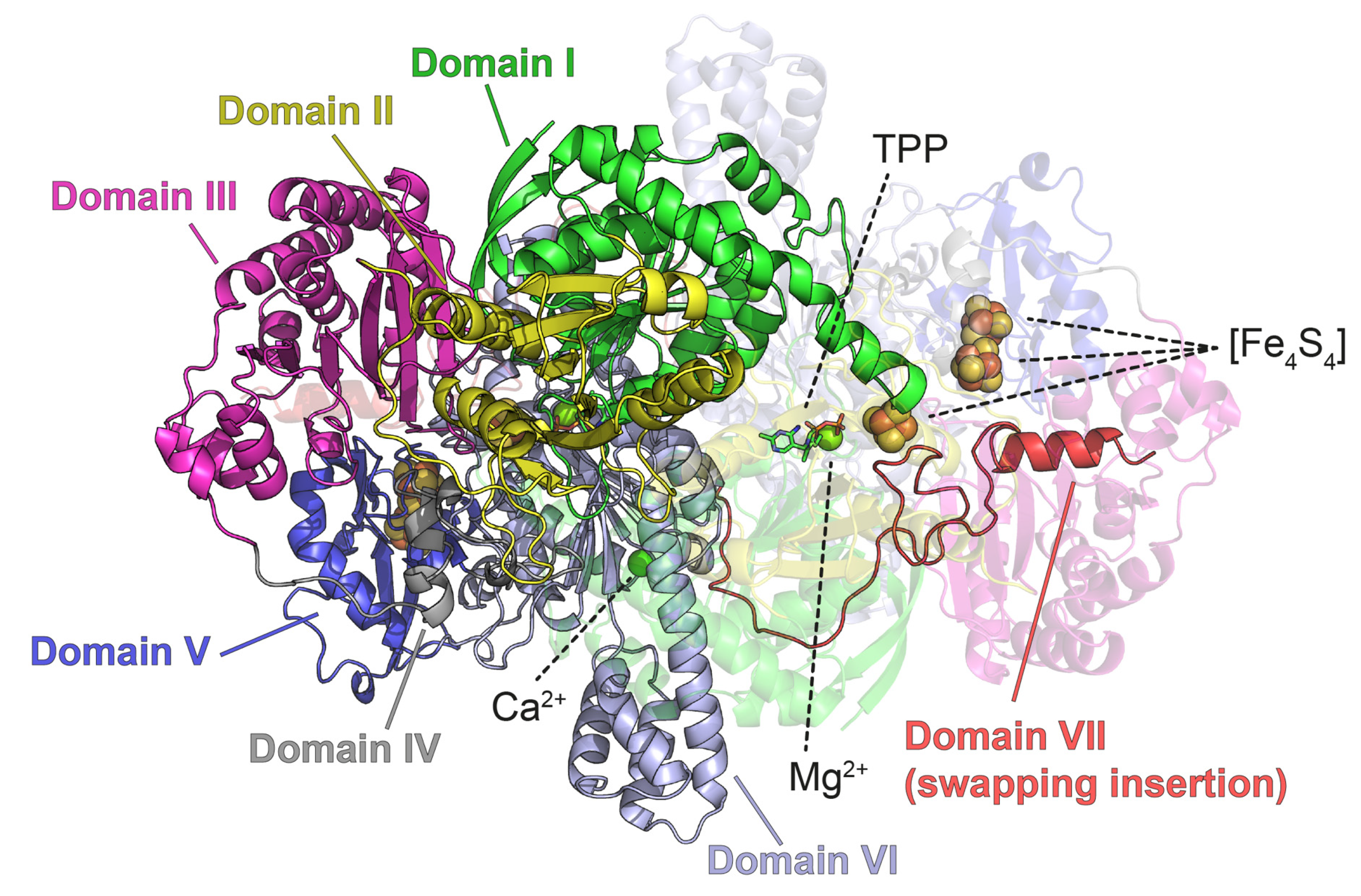Biomolecules 12 00441 g001