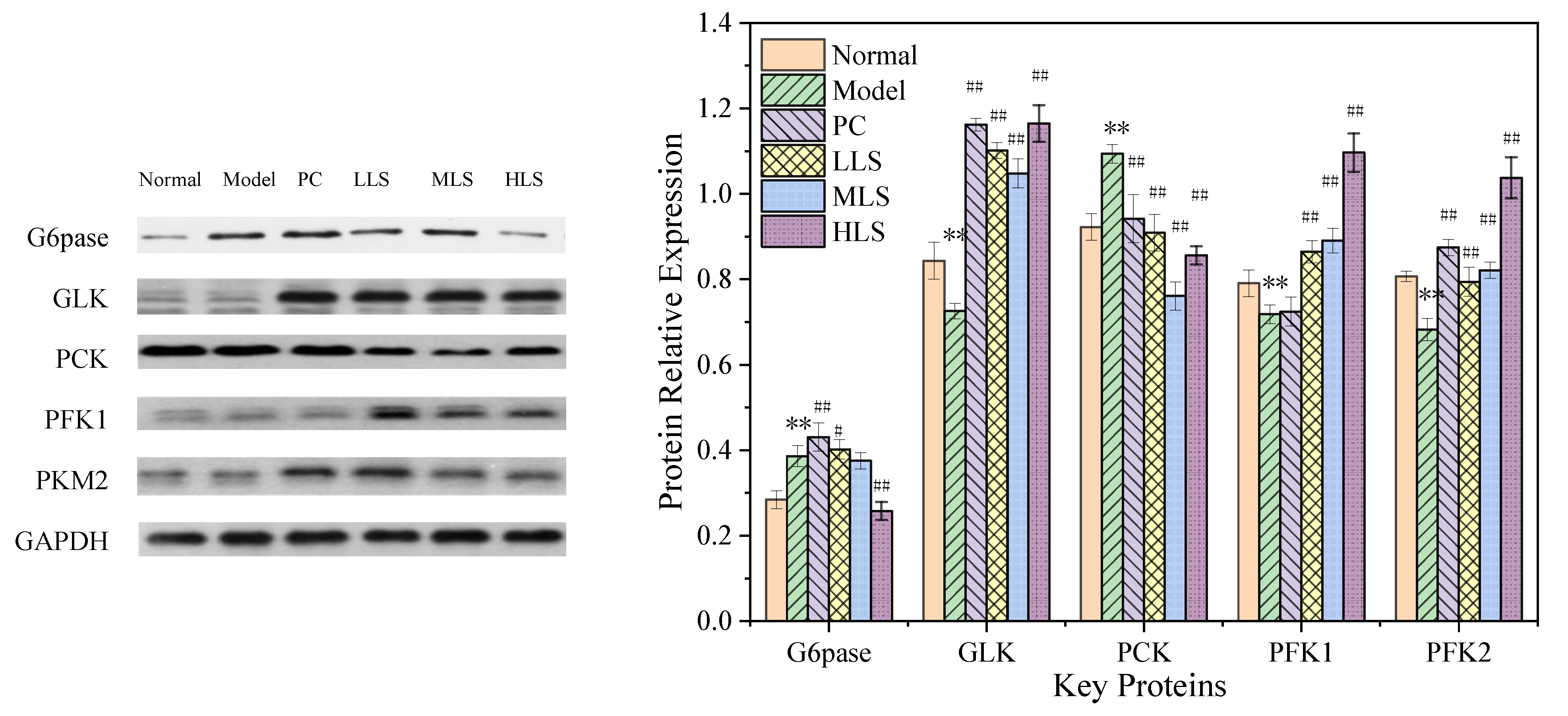Biomolecules 12 00444 g001
