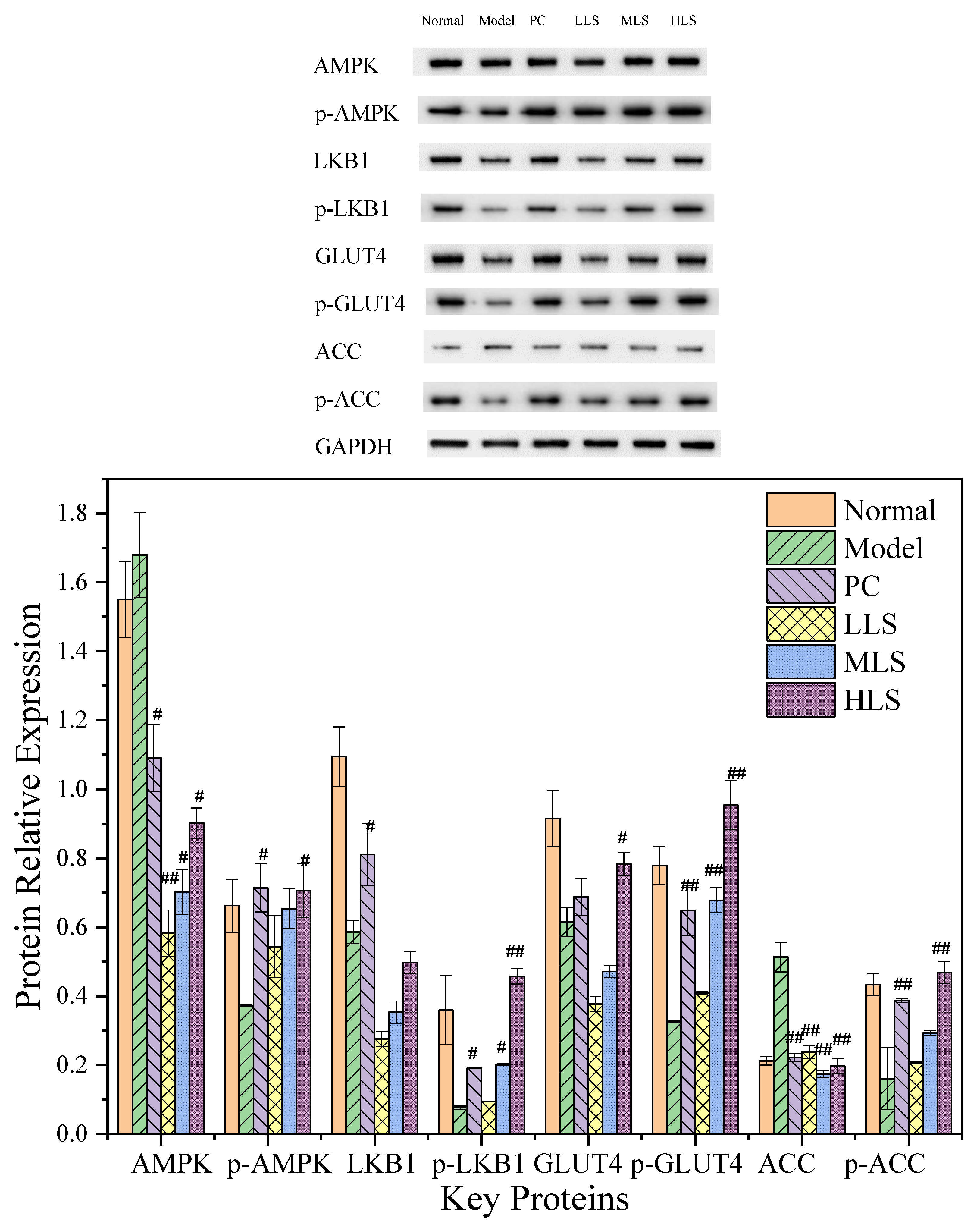 Biomolecules 12 00444 g003