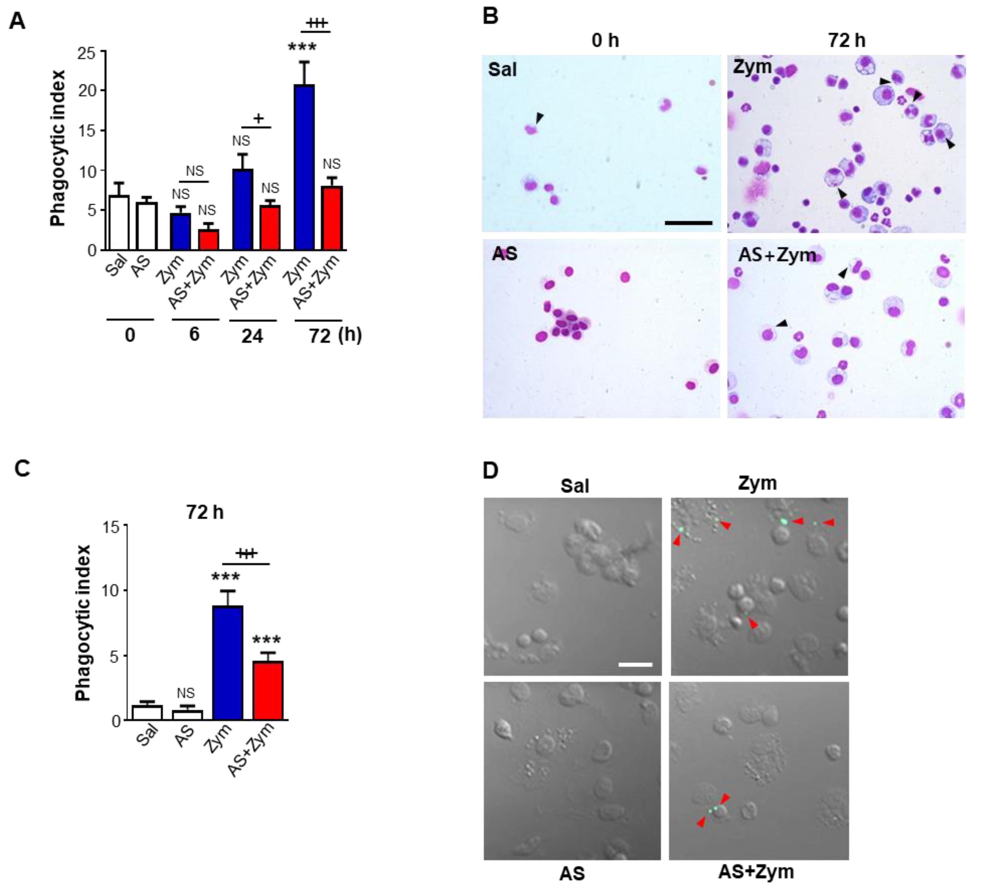 Biomolecules 12 00447 g008 Biomolecules 12 00447 g008