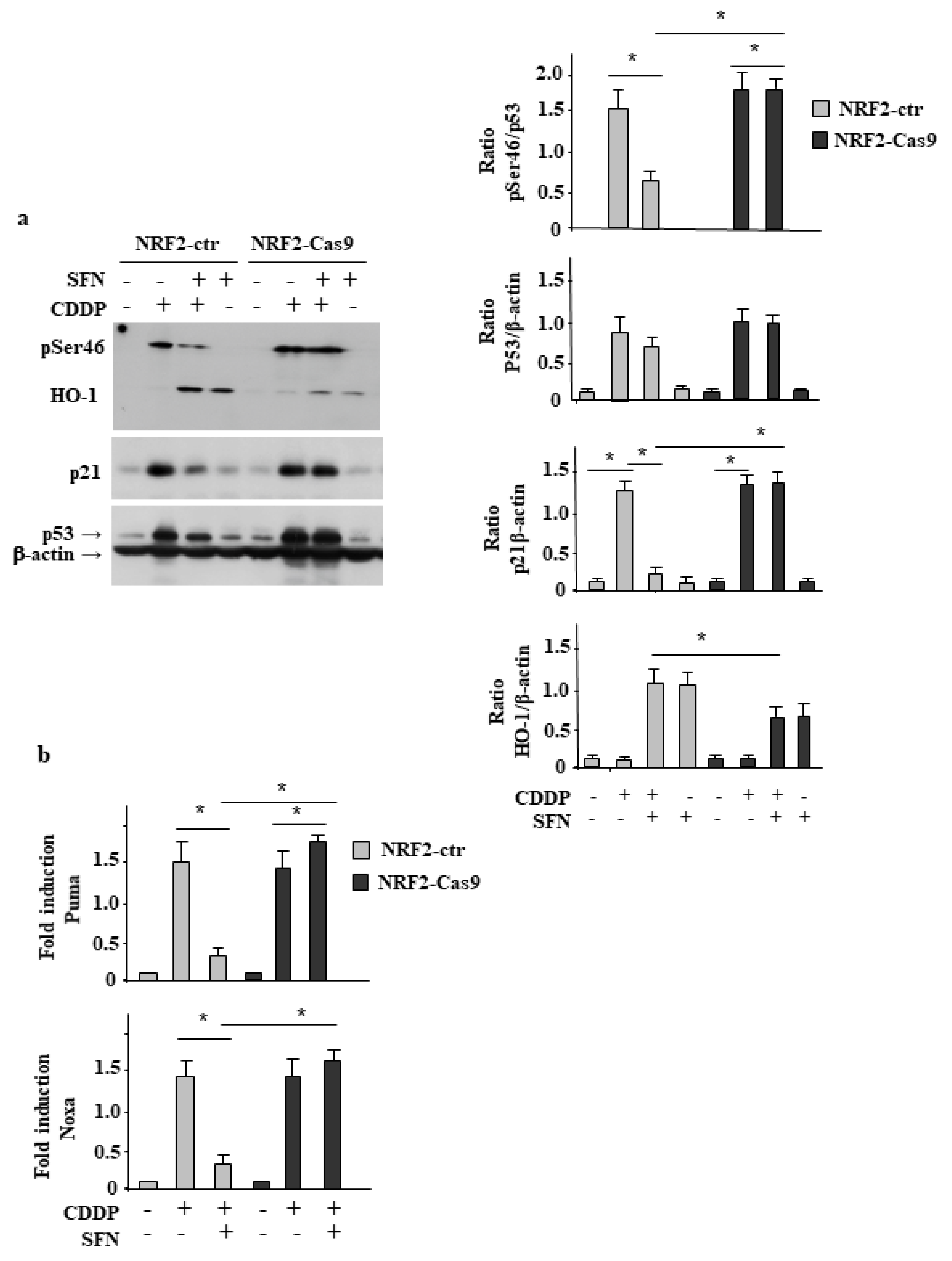 Biomolecules 12 00461 g003 Biomolecules 12 00461 g003