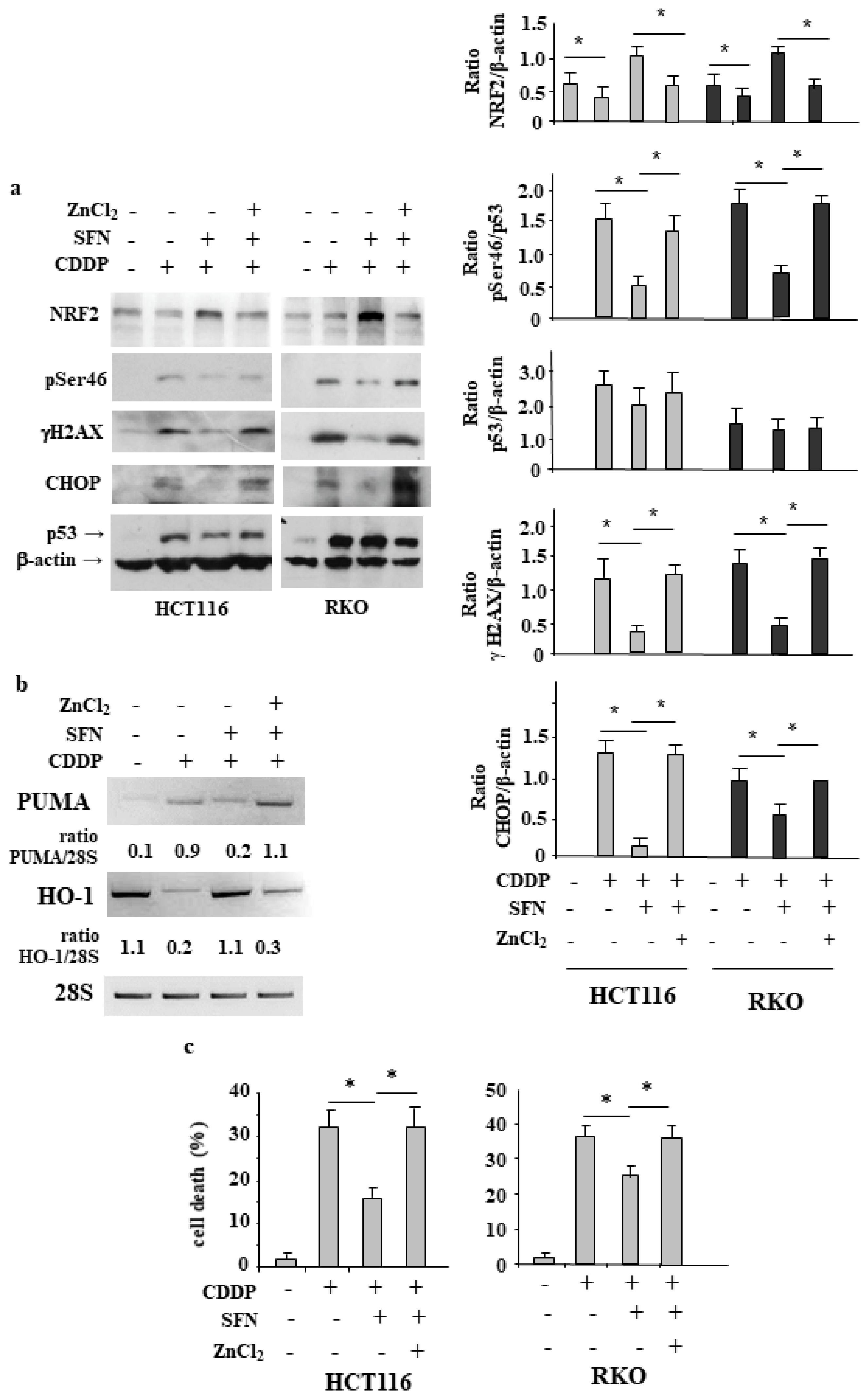 Biomolecules 12 00461 g005 Biomolecules 12 00461 g005