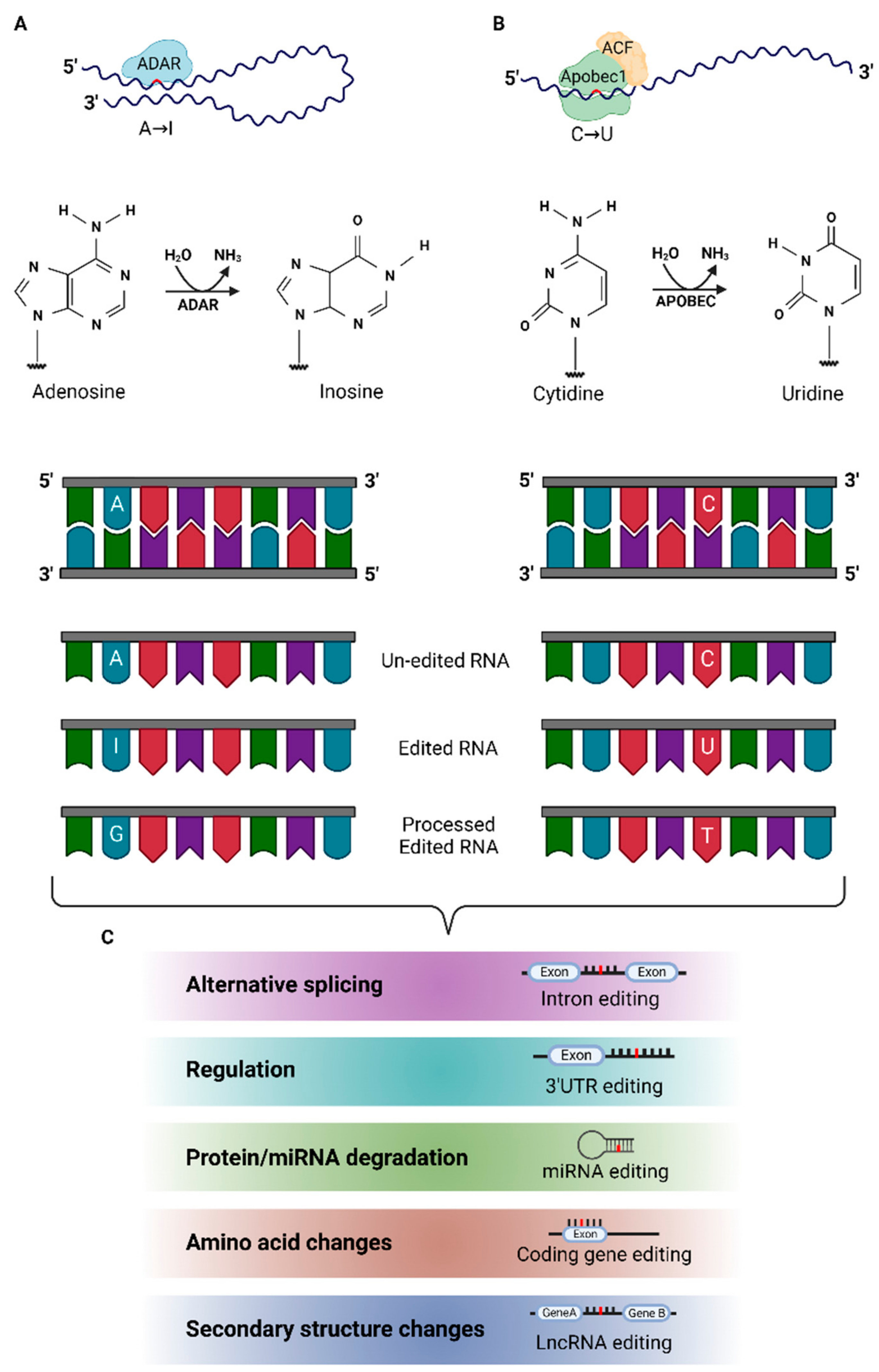 Biomolecules 12 00465 g001