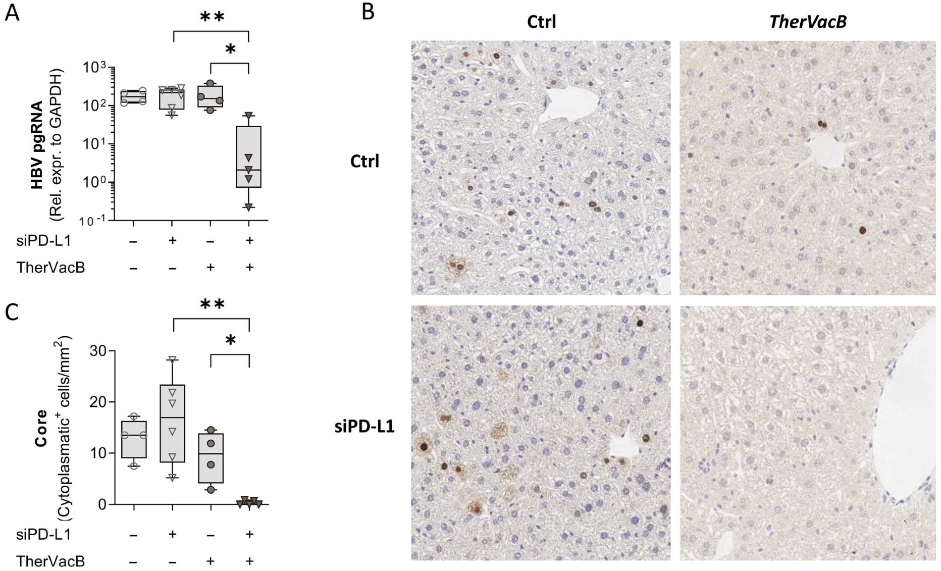 Biomolecules 12 00470 g003