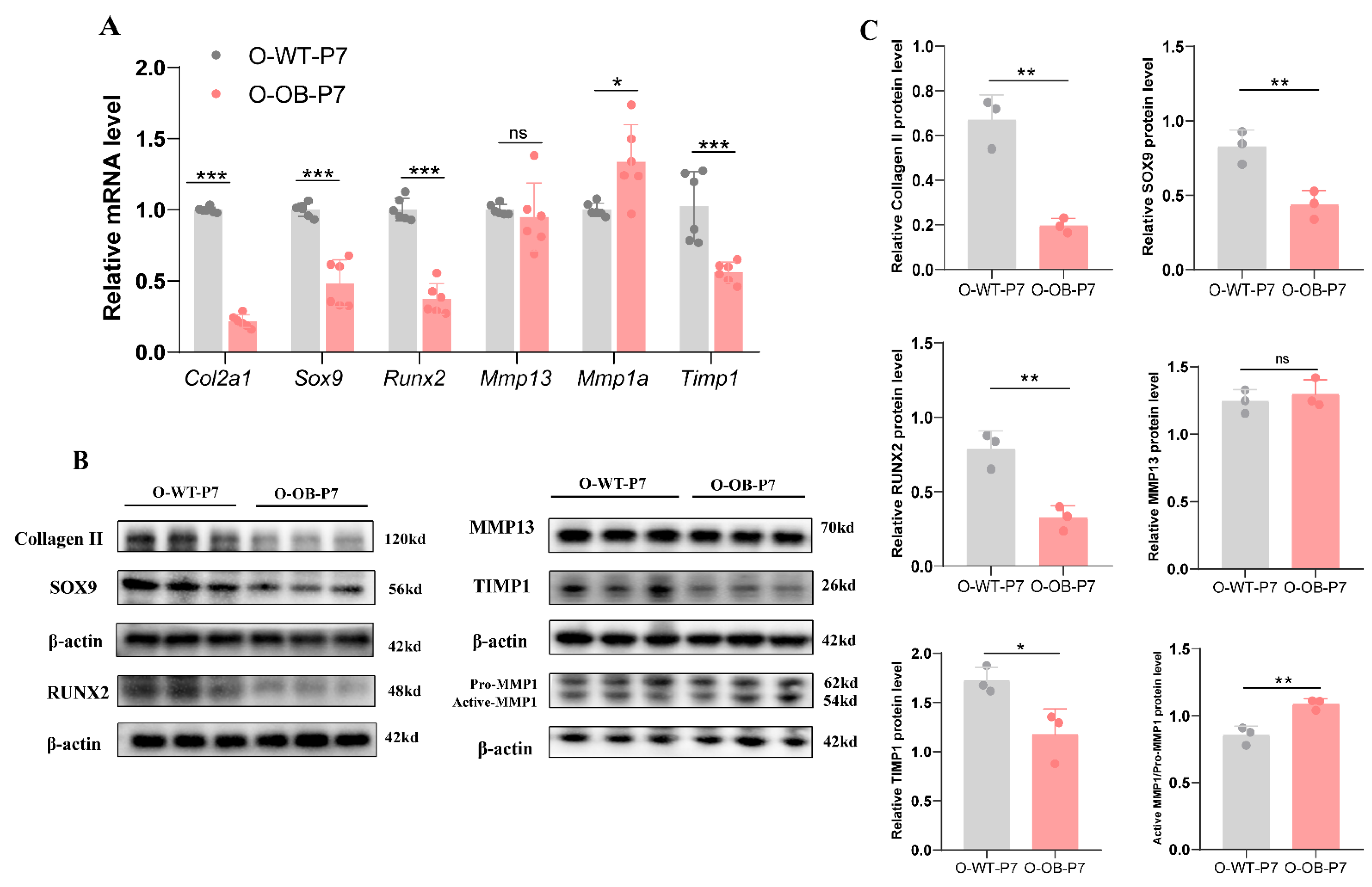 Biomolecules 12 00477 g003