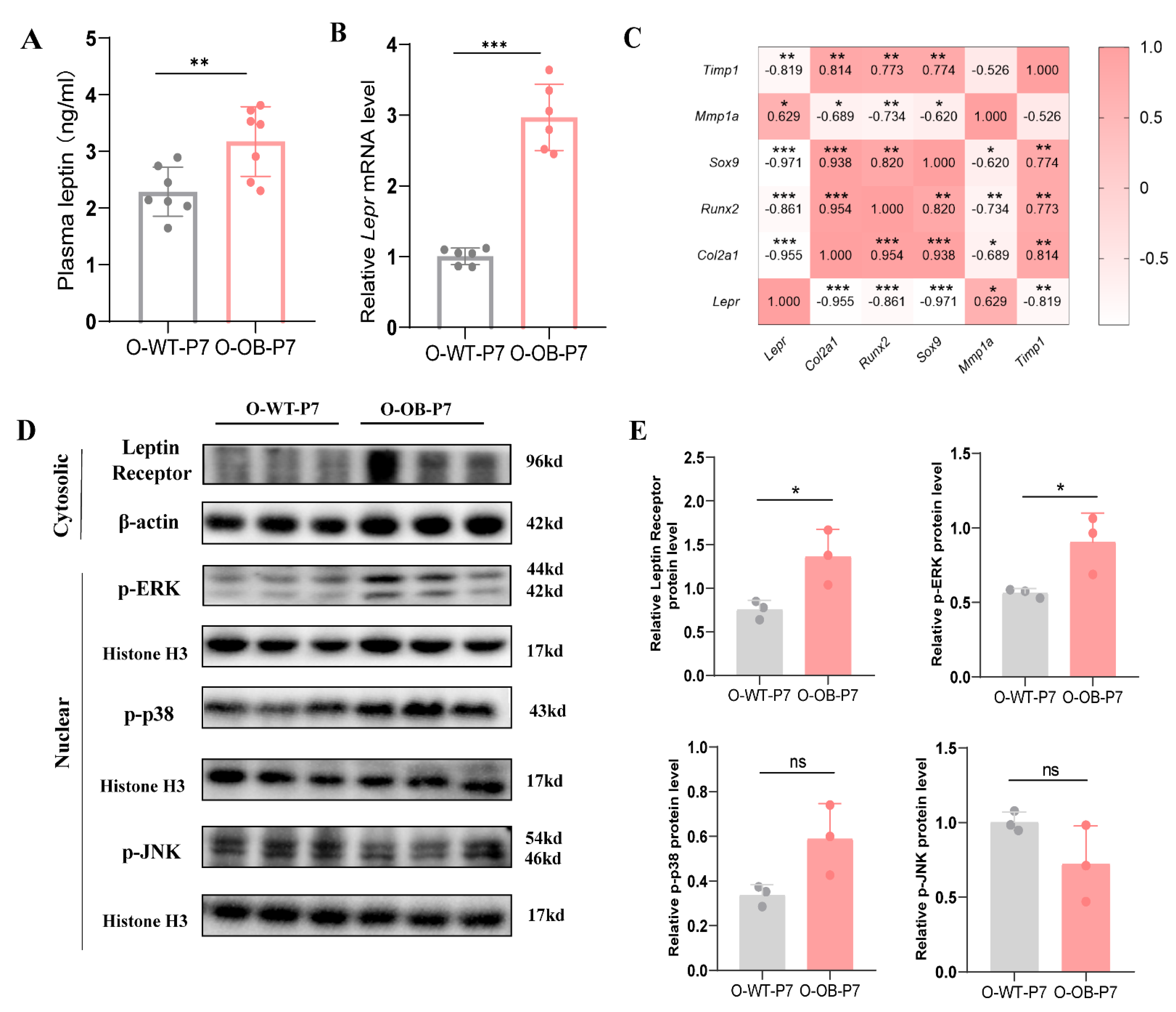 Biomolecules 12 00477 g004
