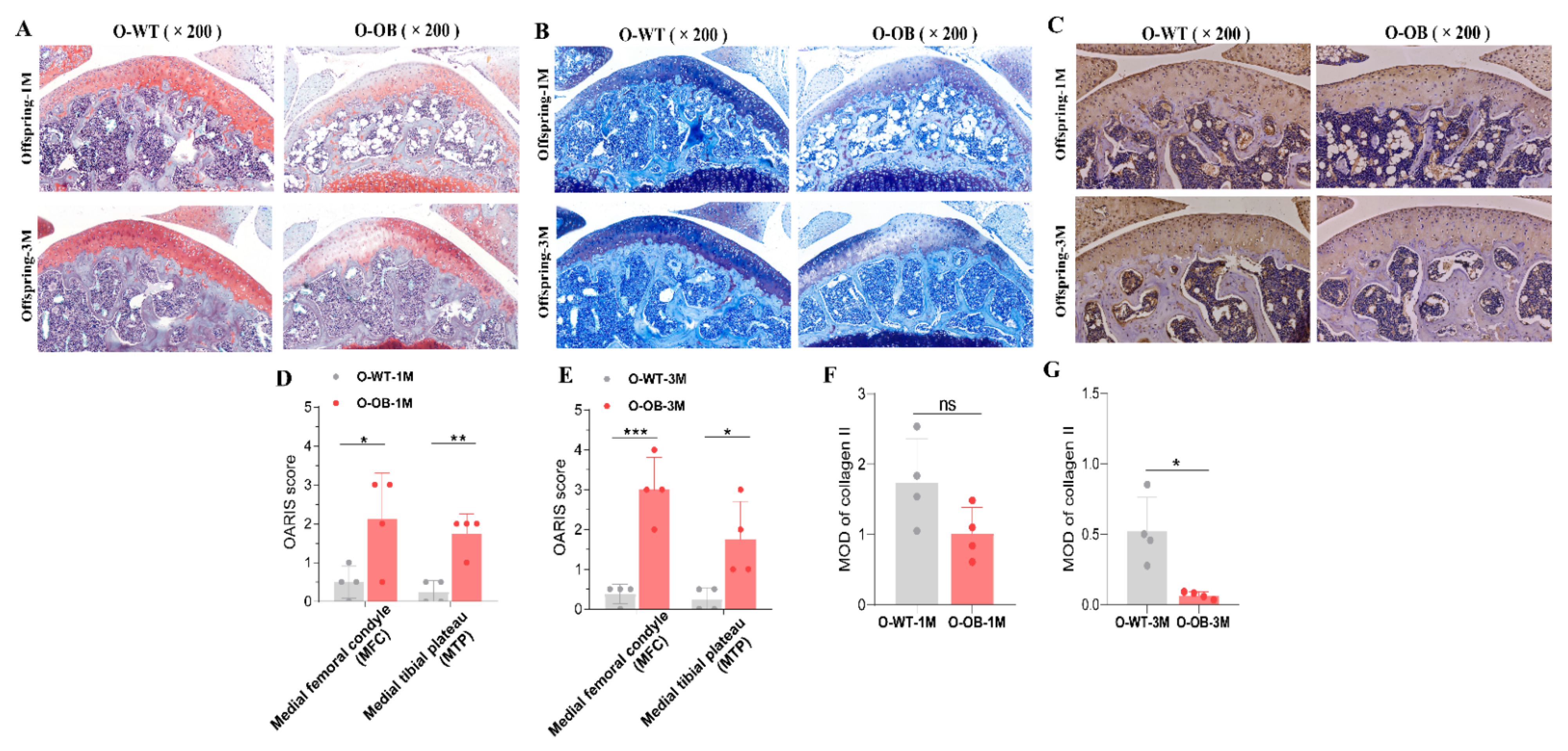 Biomolecules 12 00477 g007