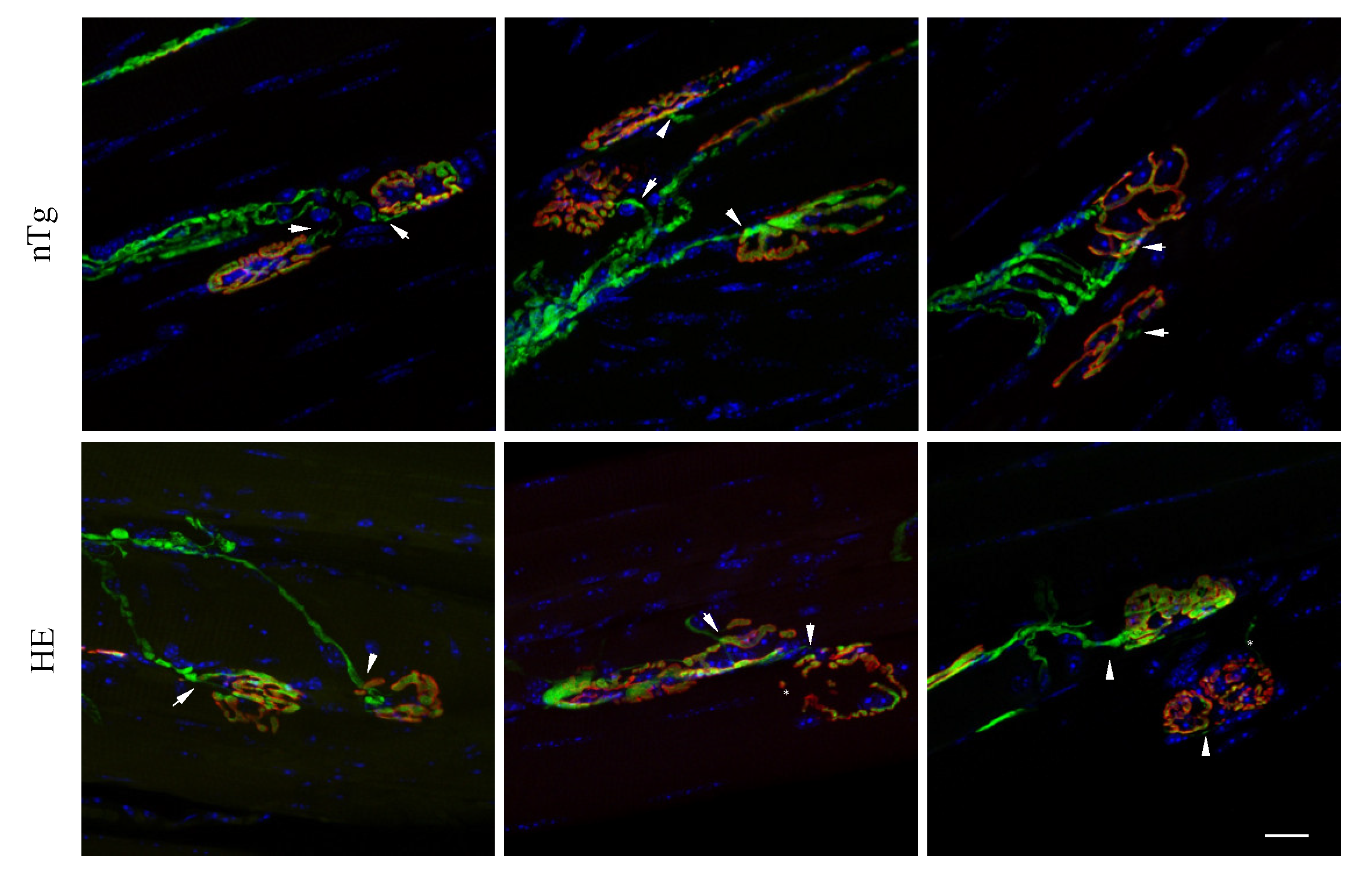 Biomolecules 12 00497 g003