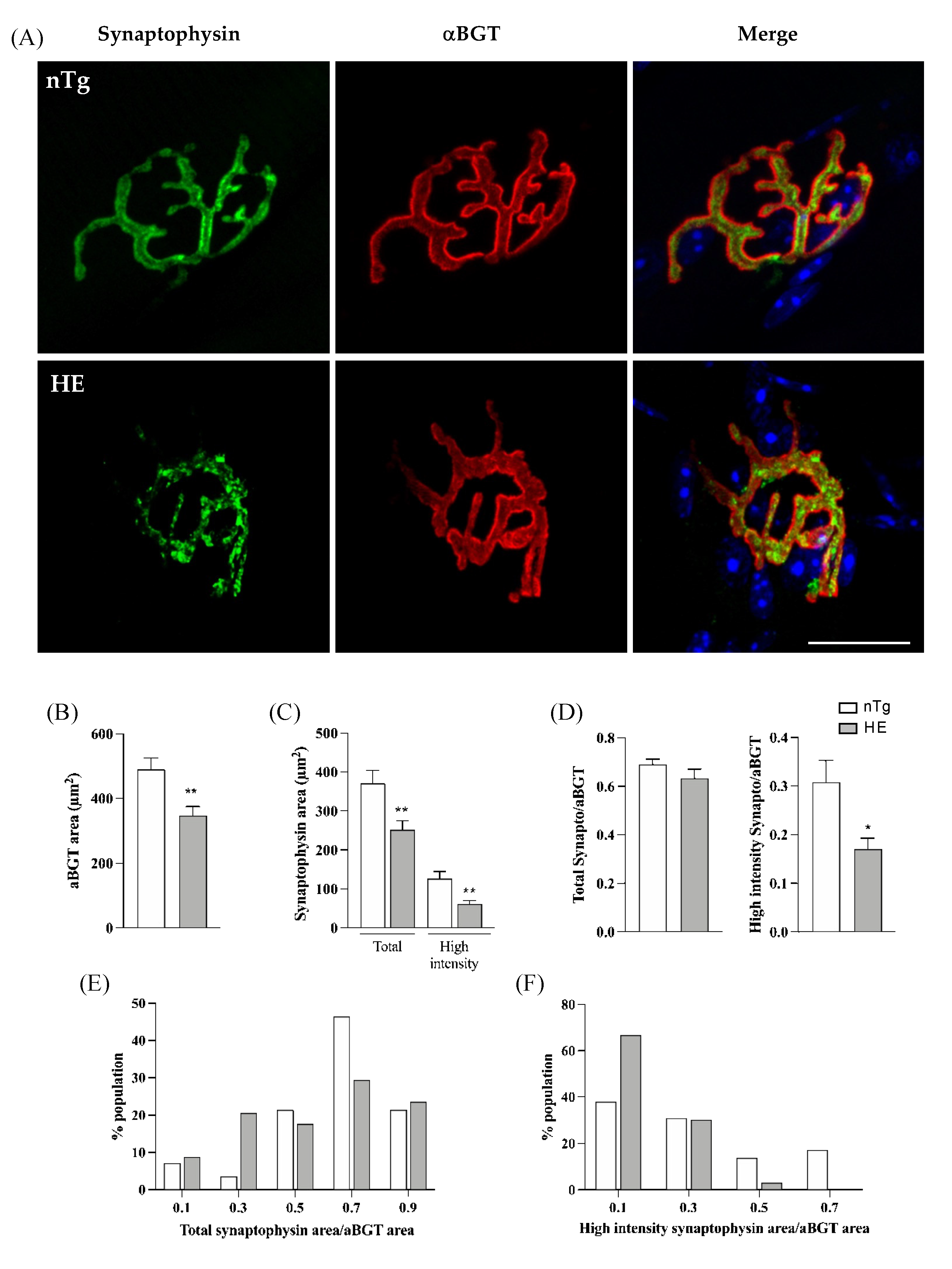 Biomolecules 12 00497 g004
