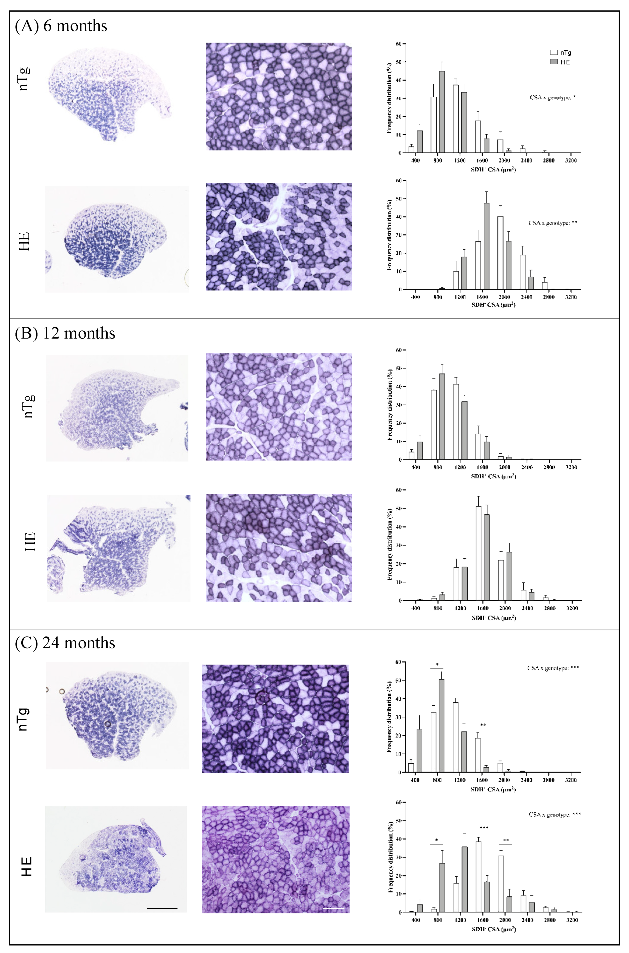 Biomolecules 12 00497 g007