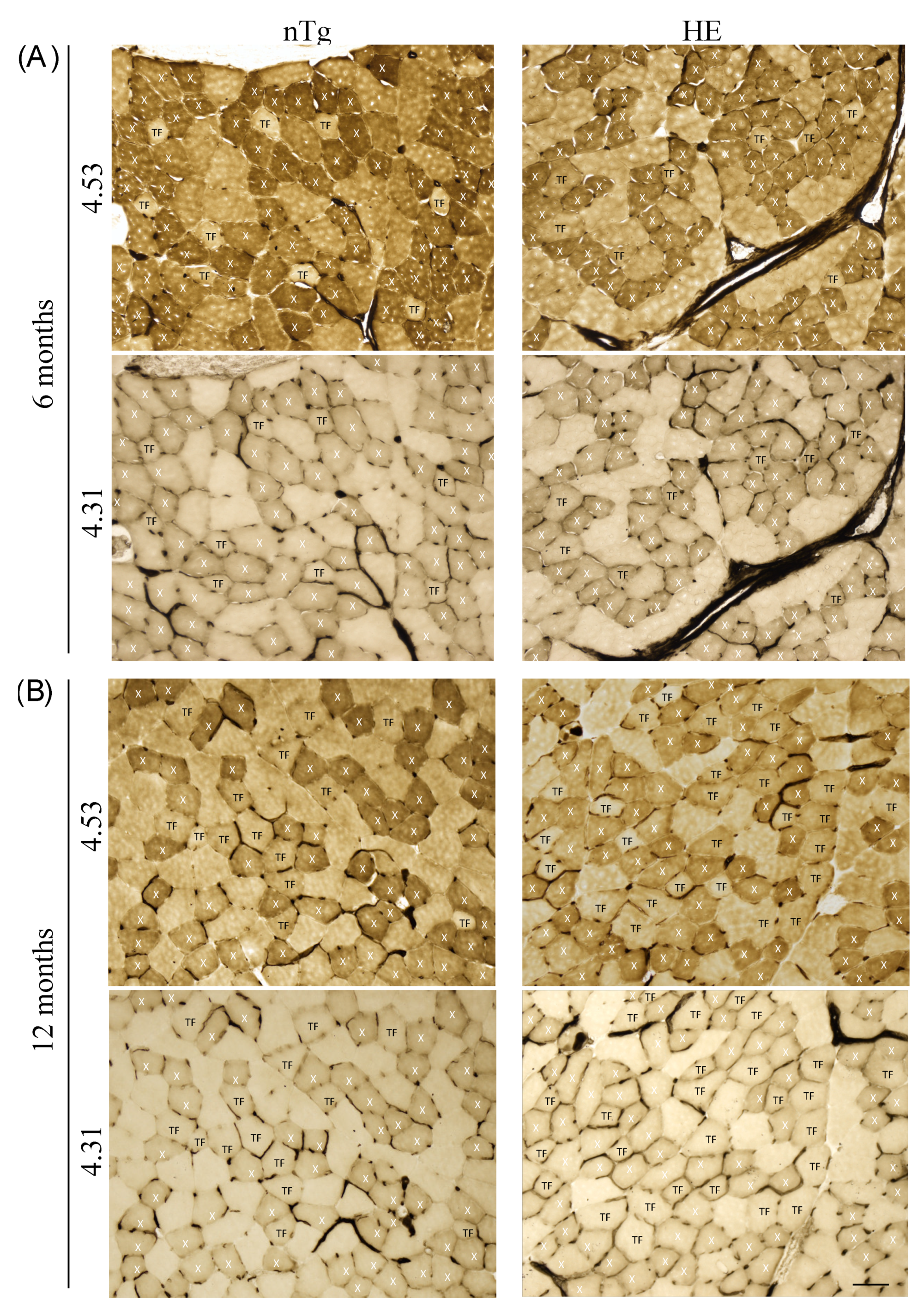 Biomolecules 12 00497 g009