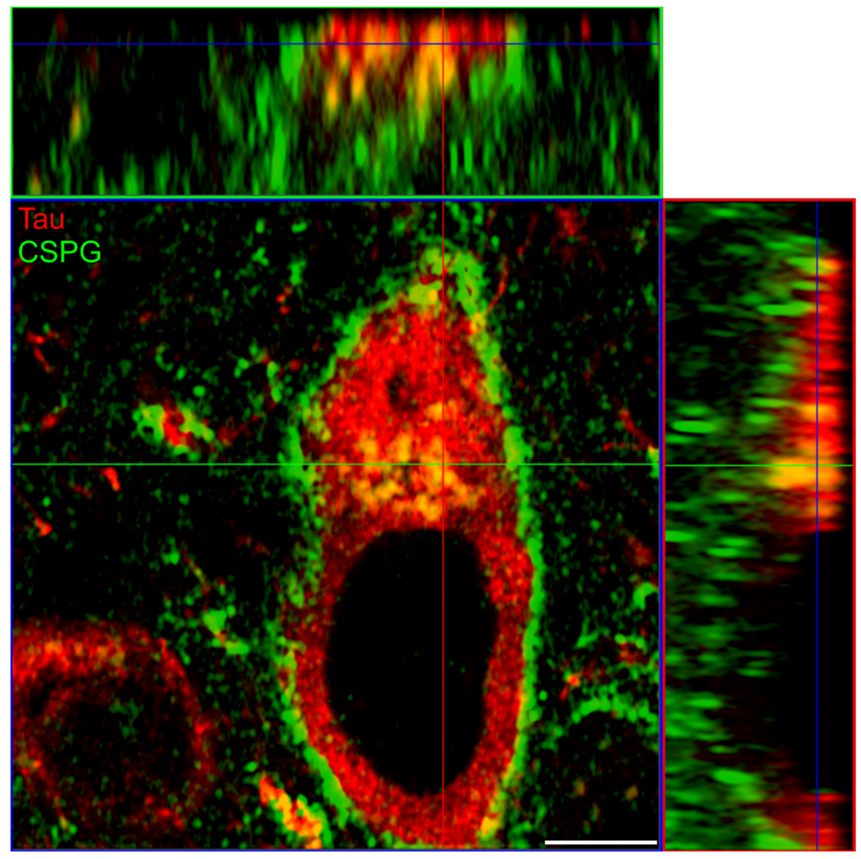 Biomolecules 12 00505 g006