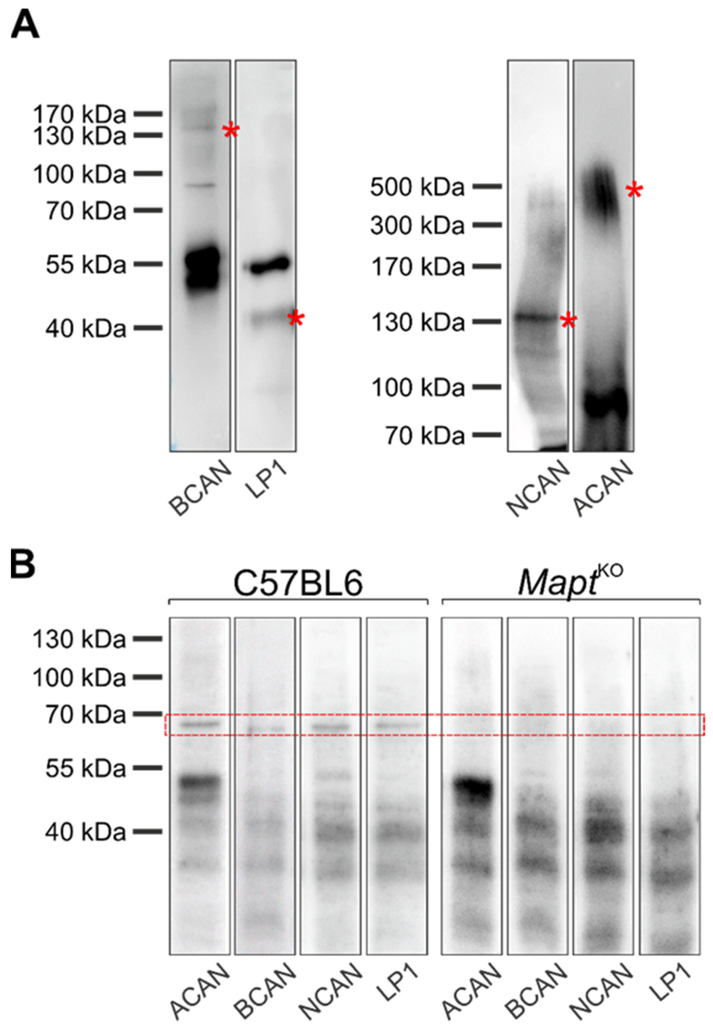 Biomolecules 12 00505 g007
