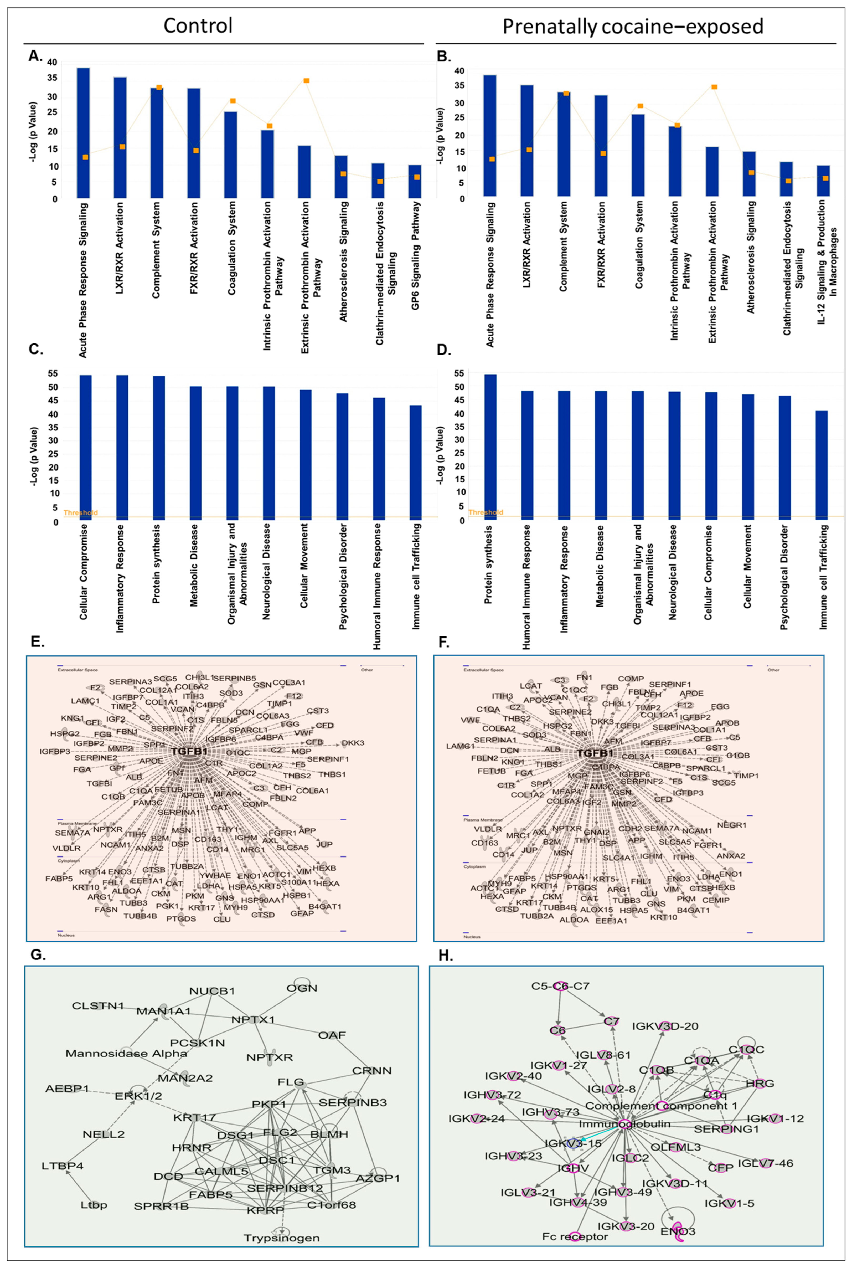 Biomolecules 12 00510 g003