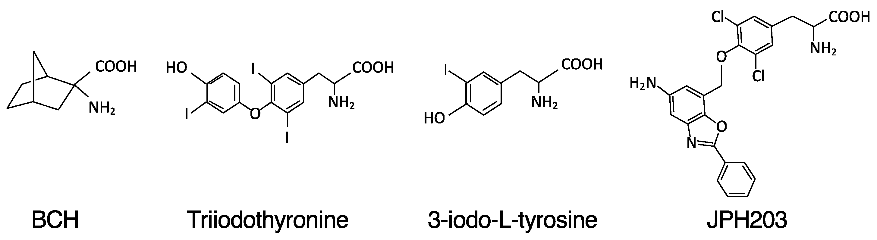 Biomolecules 12 00553 g001