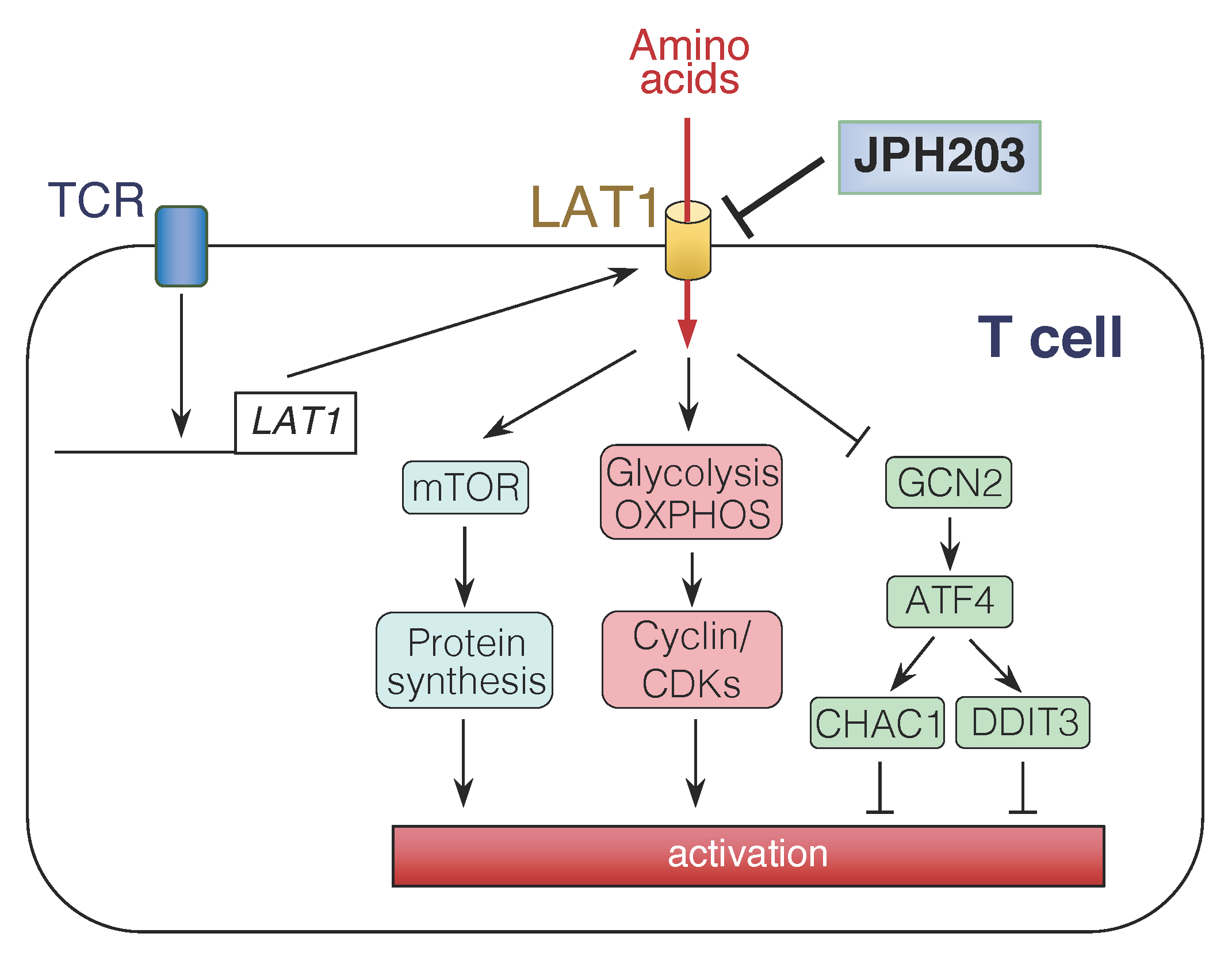 Biomolecules 12 00553 g002