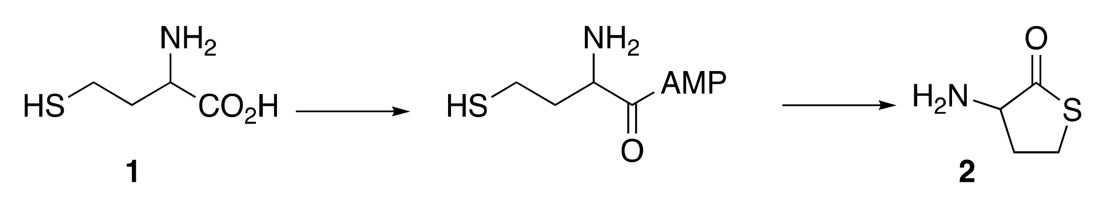 Biomolecules 12 00555 sch001