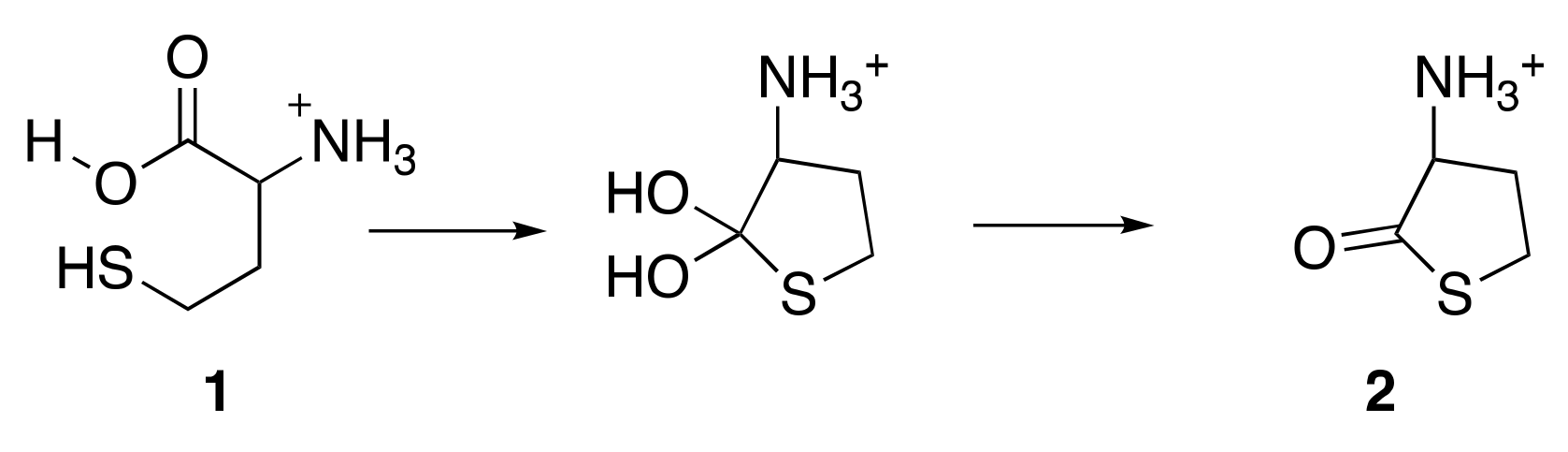 Biomolecules 12 00555 sch004